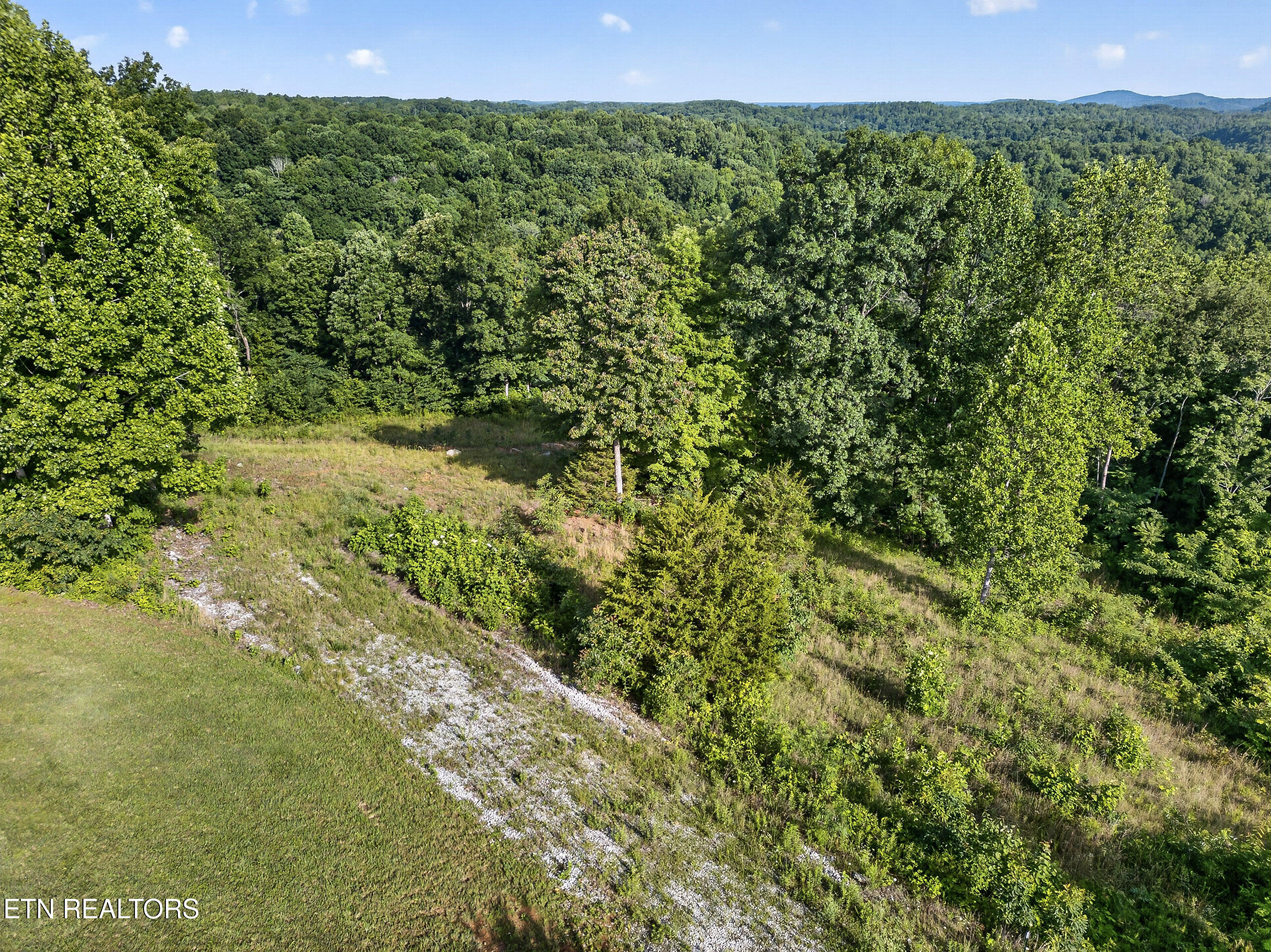 2.26 Ac Hidden Cove Lane Allons TN 38541