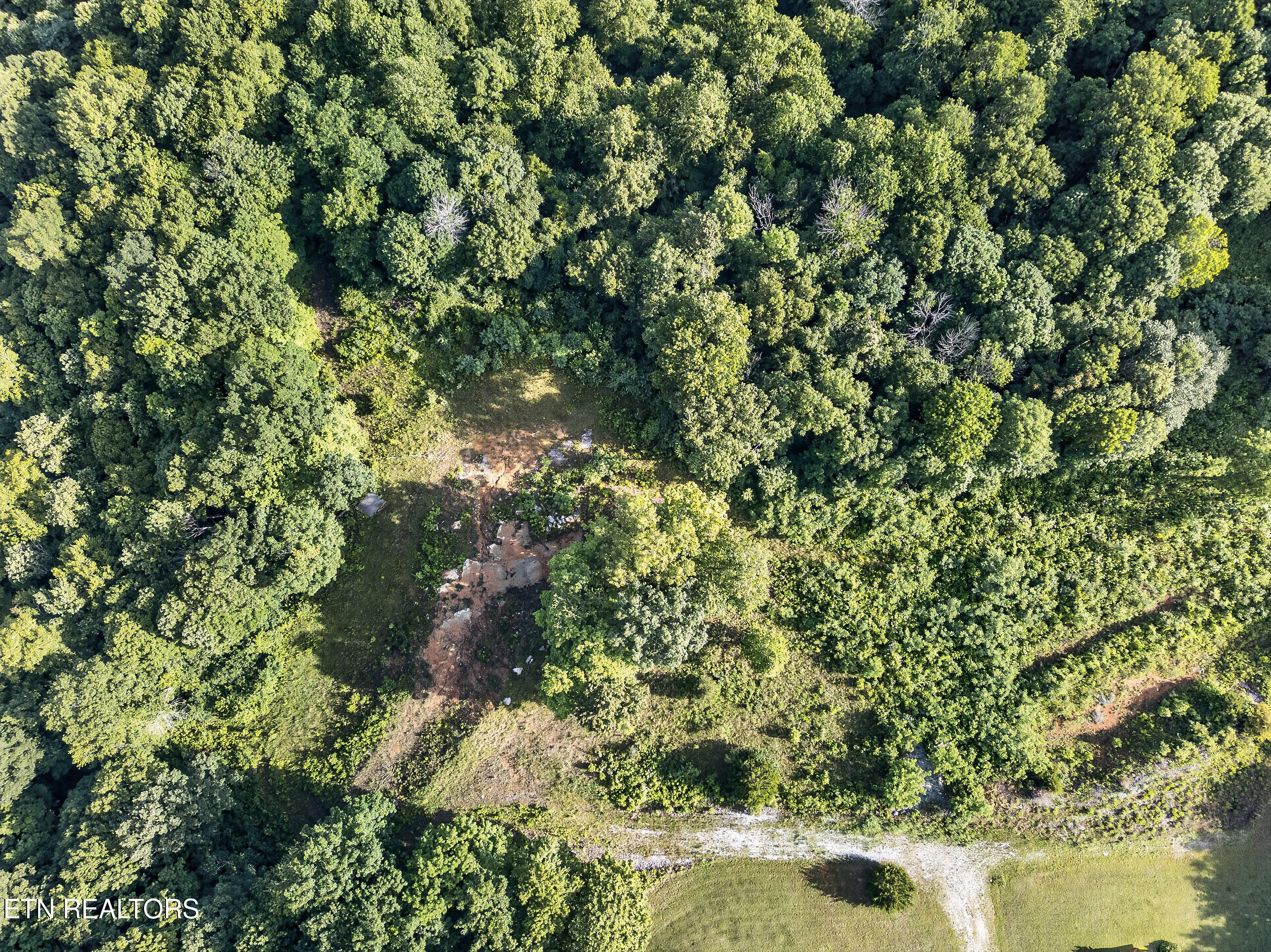 2.26 Ac Hidden Cove Lane Allons TN 38541