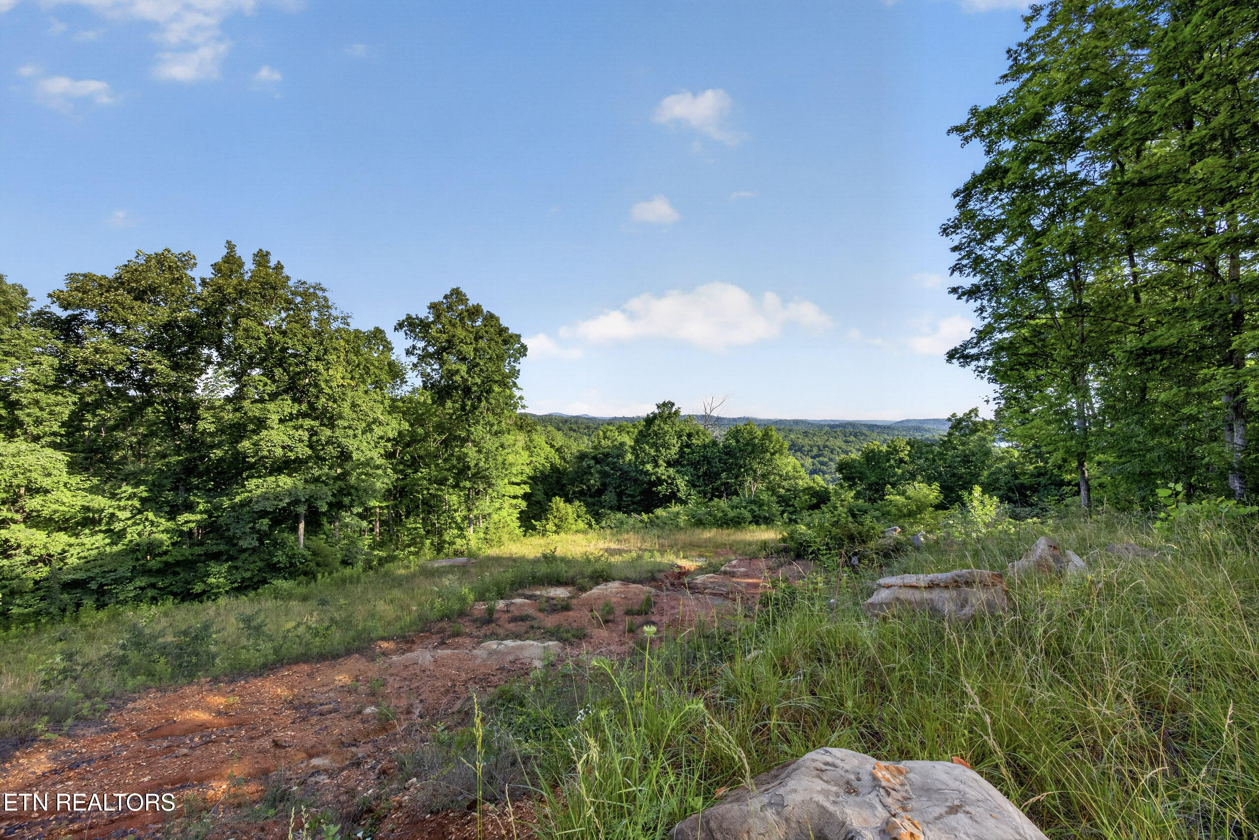 2.26 Ac Hidden Cove Lane Allons TN 38541