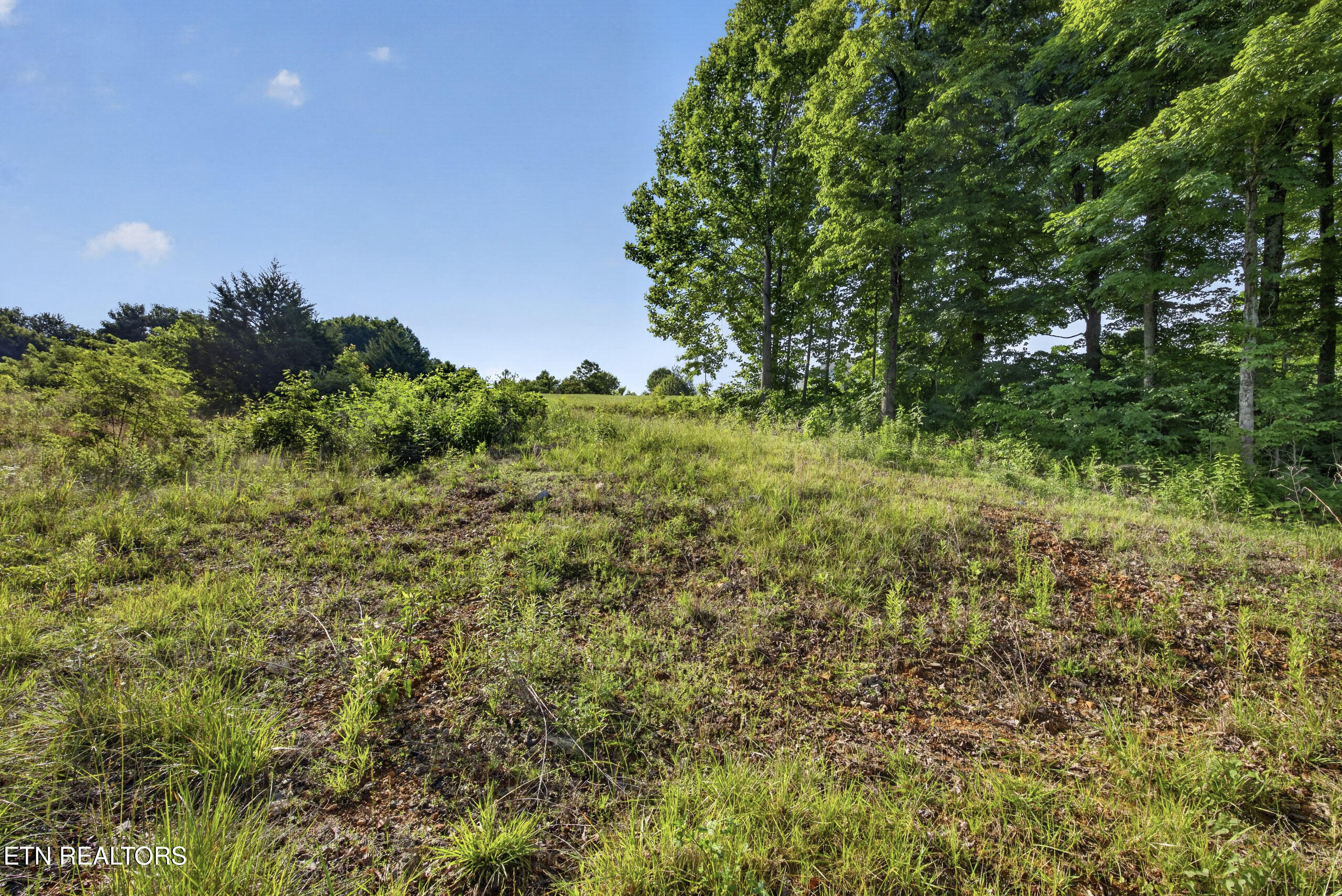 2.26 Ac Hidden Cove Lane Allons TN 38541