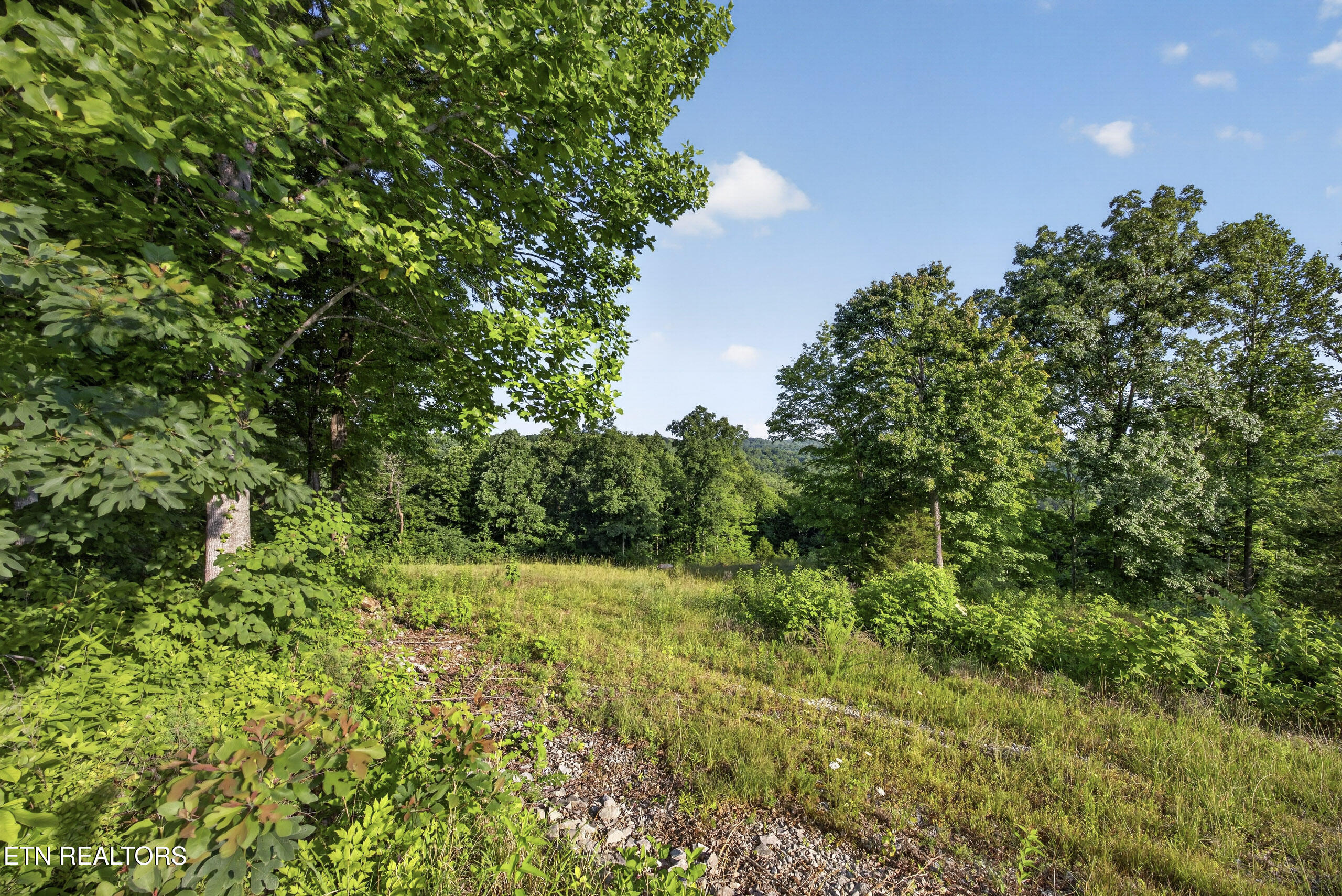 2.26 Ac Hidden Cove Lane Allons TN 38541
