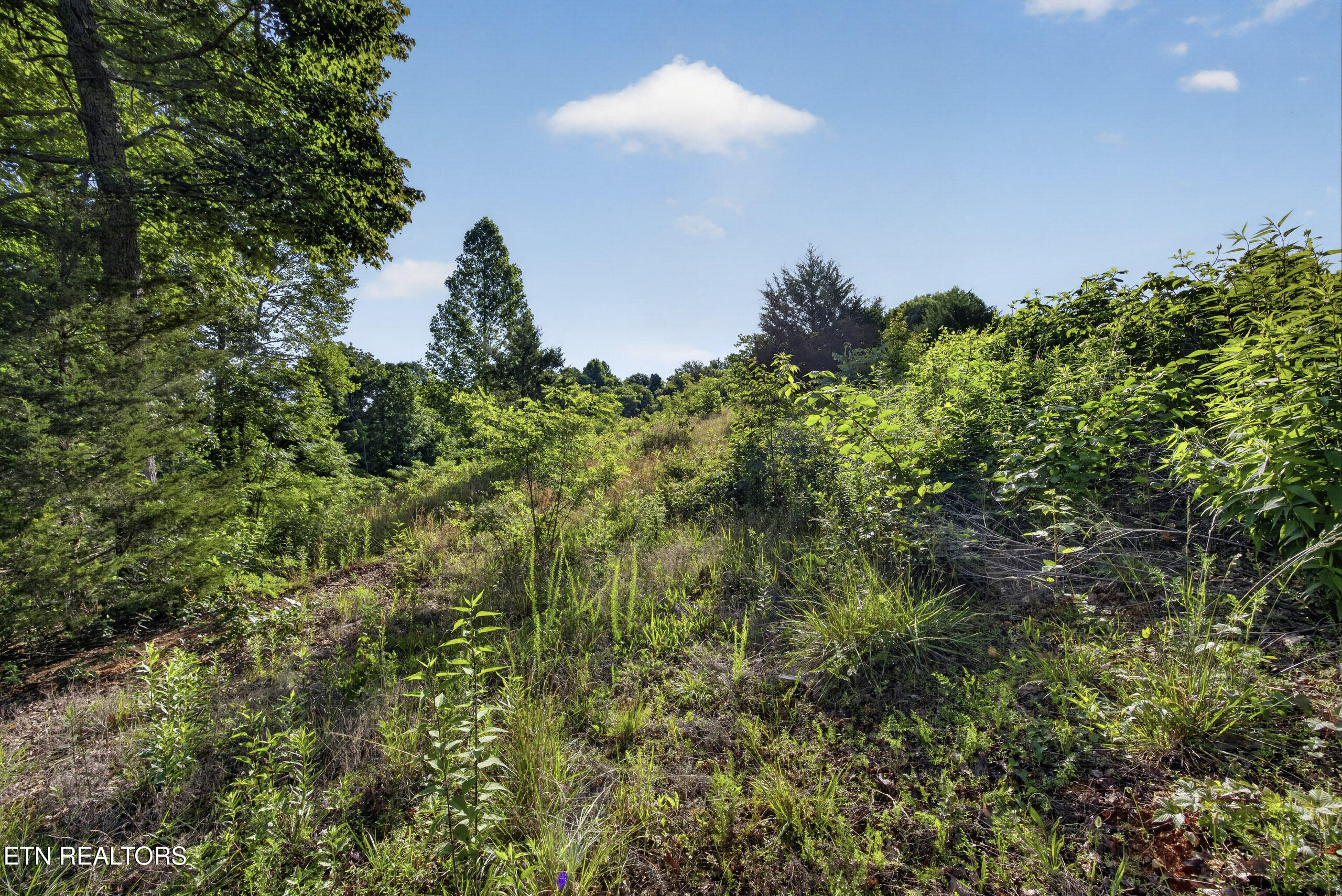 2.26 Ac Hidden Cove Lane Allons TN 38541