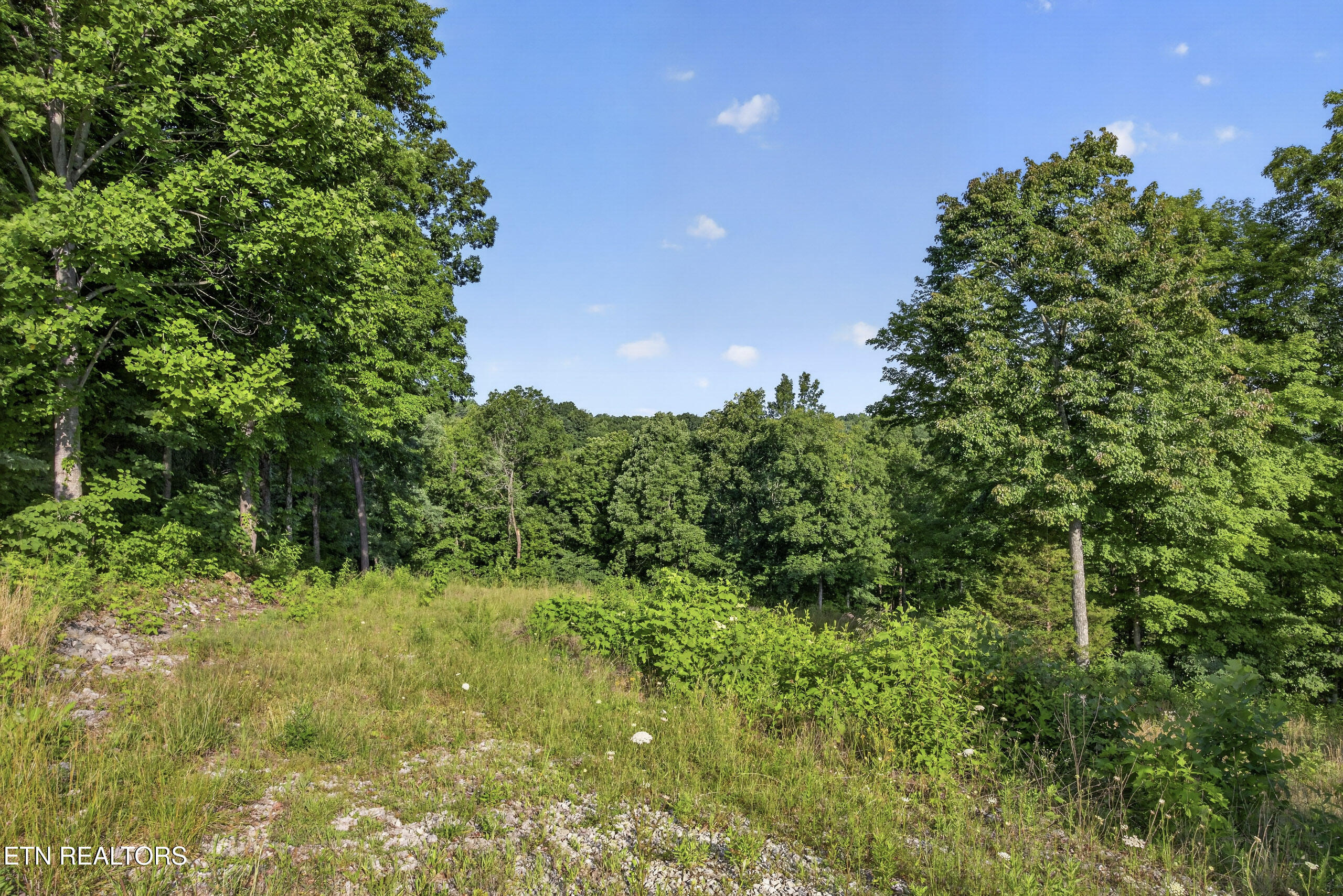 2.26 Ac Hidden Cove Lane Allons TN 38541