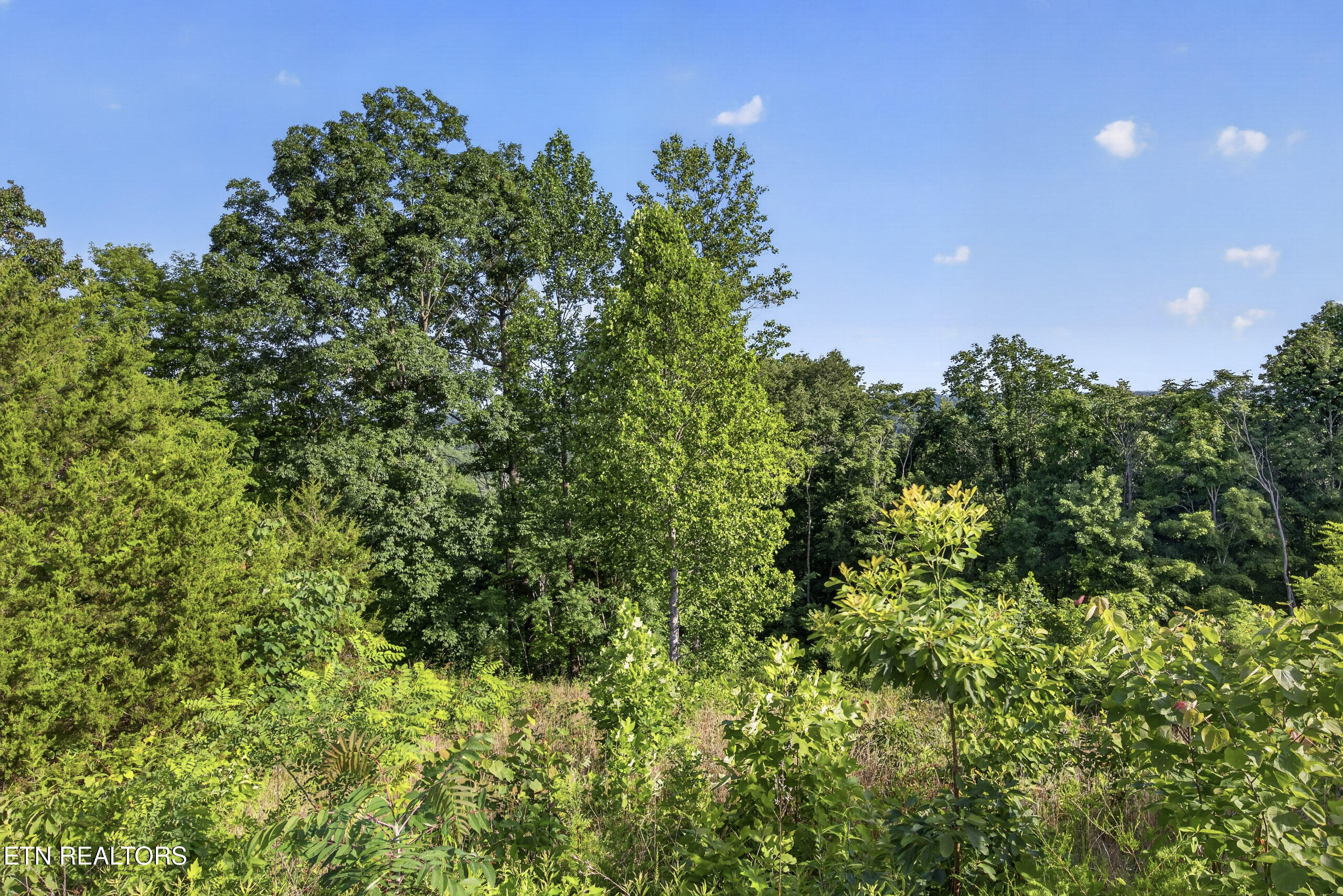 2.26 Ac Hidden Cove Lane Allons TN 38541