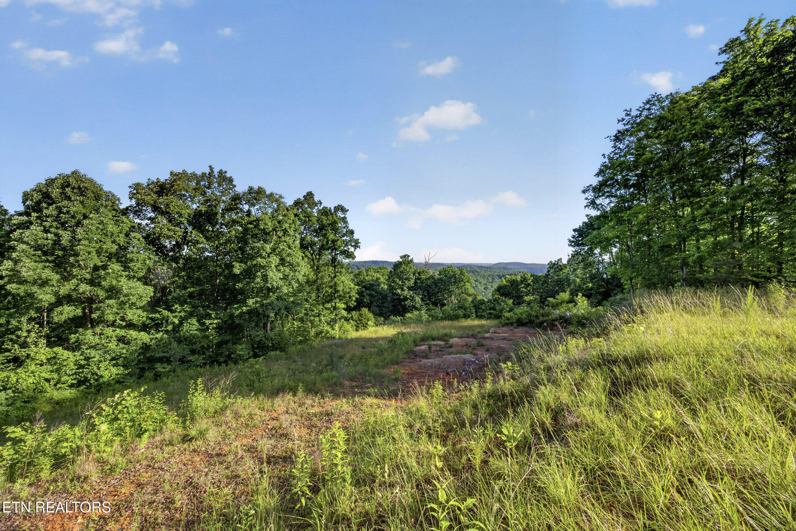 2.26 Ac Hidden Cove Lane Allons TN 38541