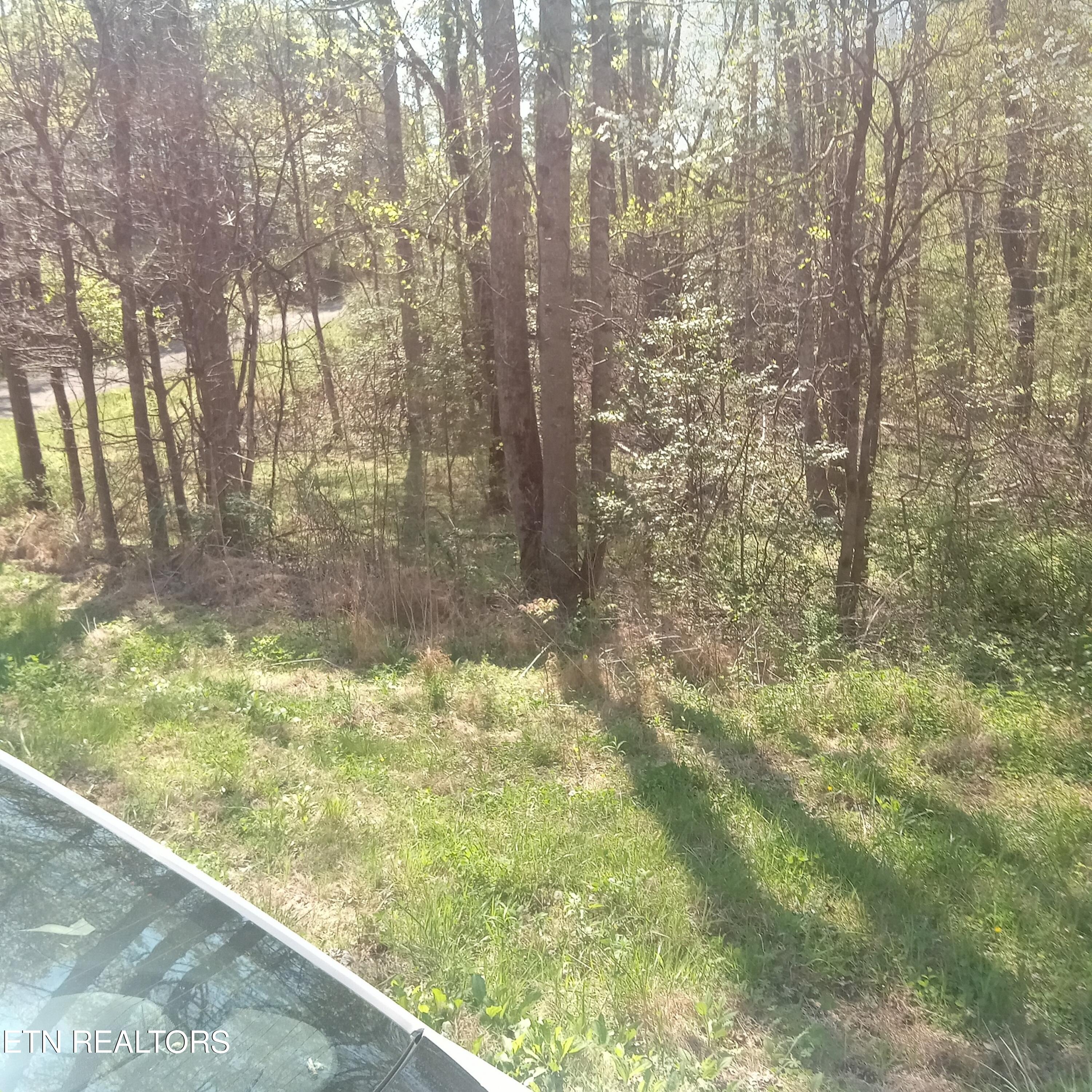 Mountain Road Tellico Plains TN 37385