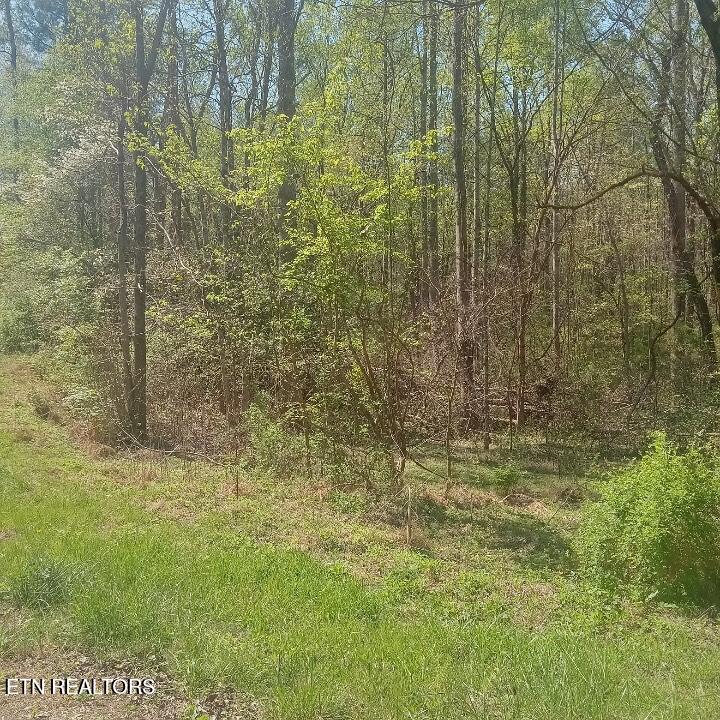 Mountain Road Tellico Plains TN 37385