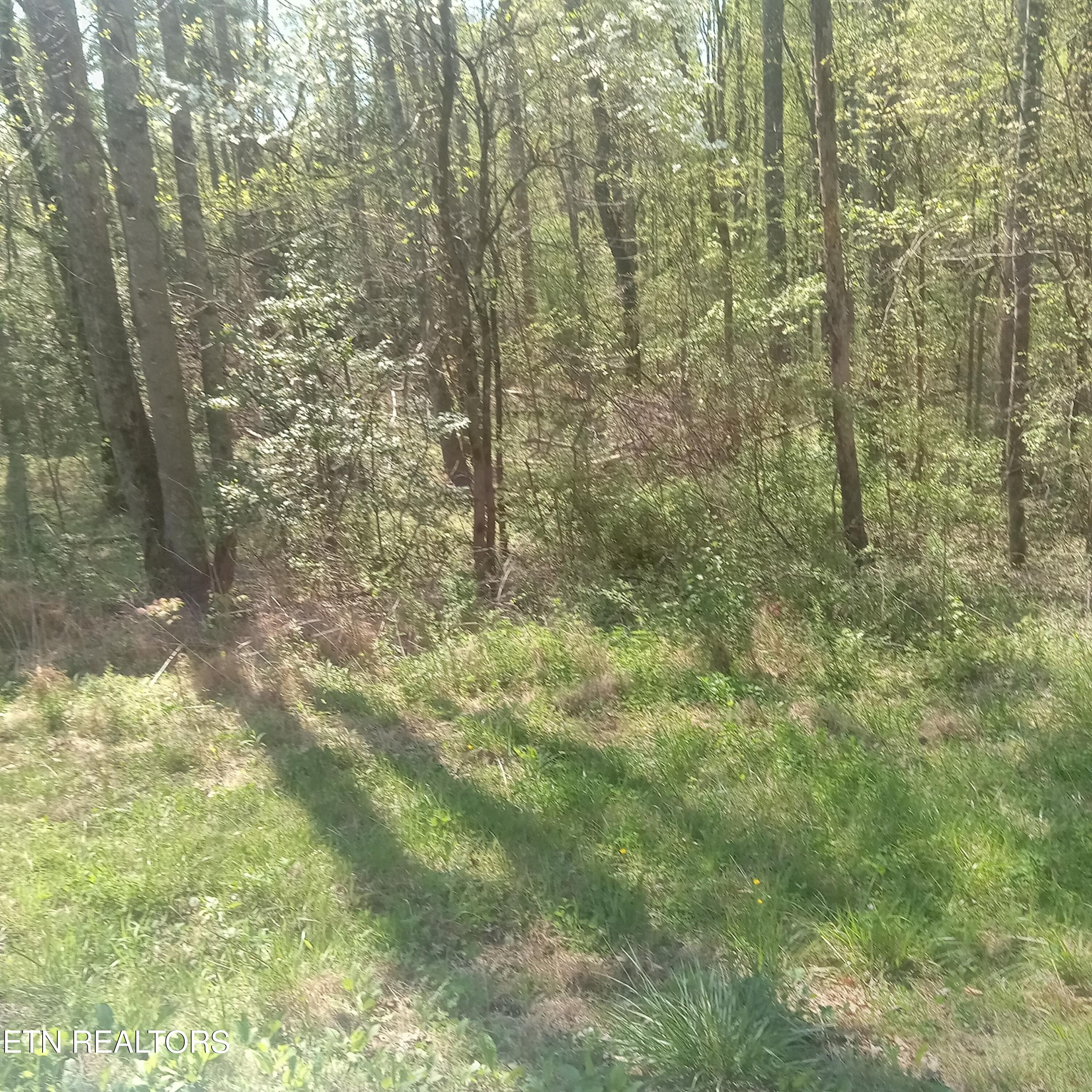 Mountain Road Tellico Plains TN 37385