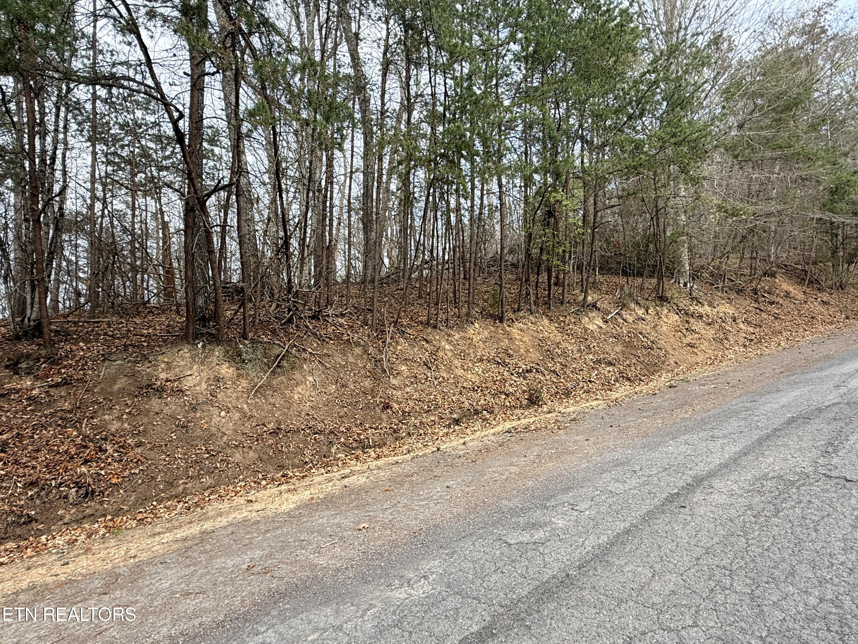 Lot 77 Grandpas Ridge Sharps Chapel TN 37866