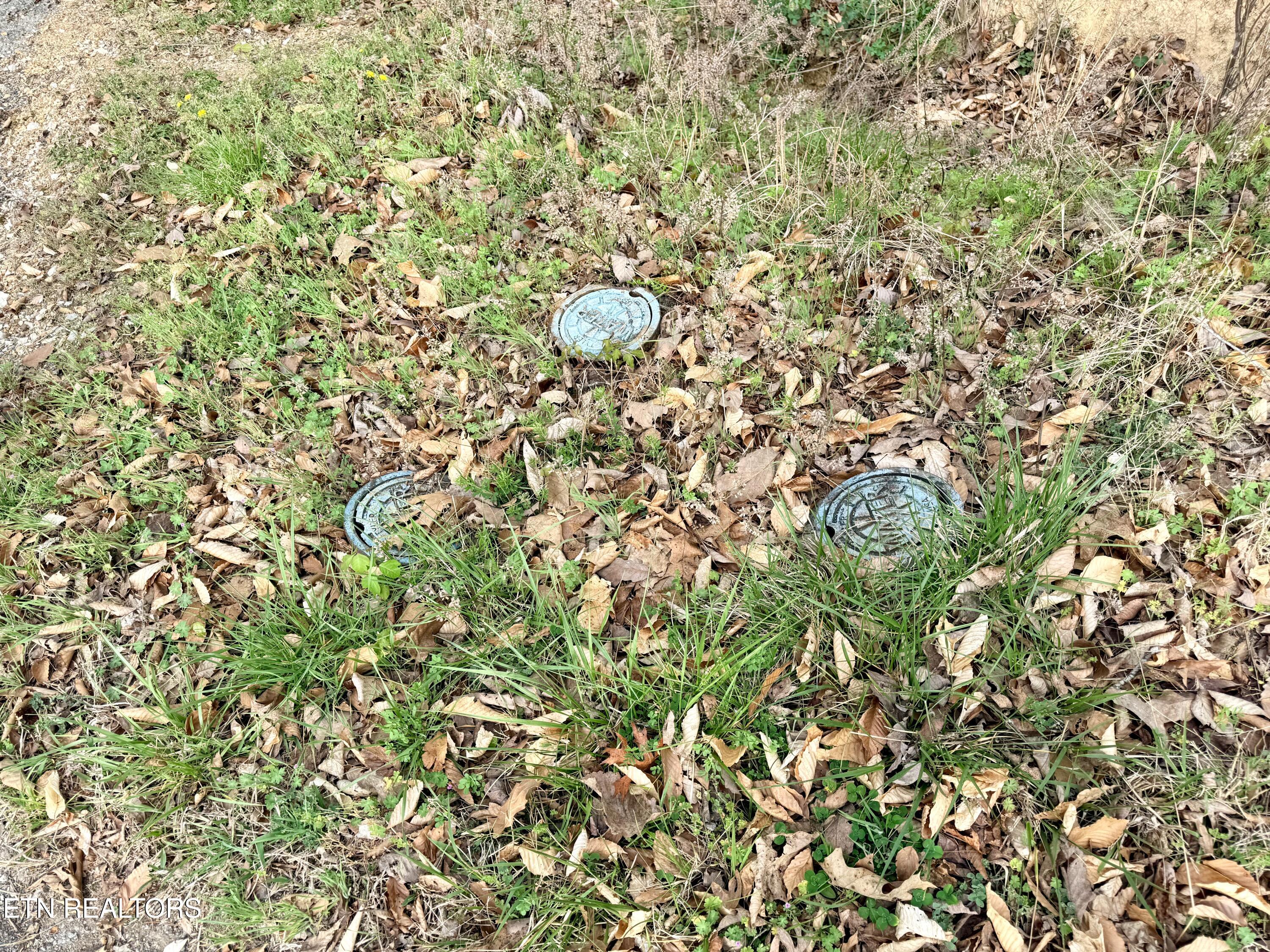 Lot 77 Grandpas Ridge Sharps Chapel TN 37866