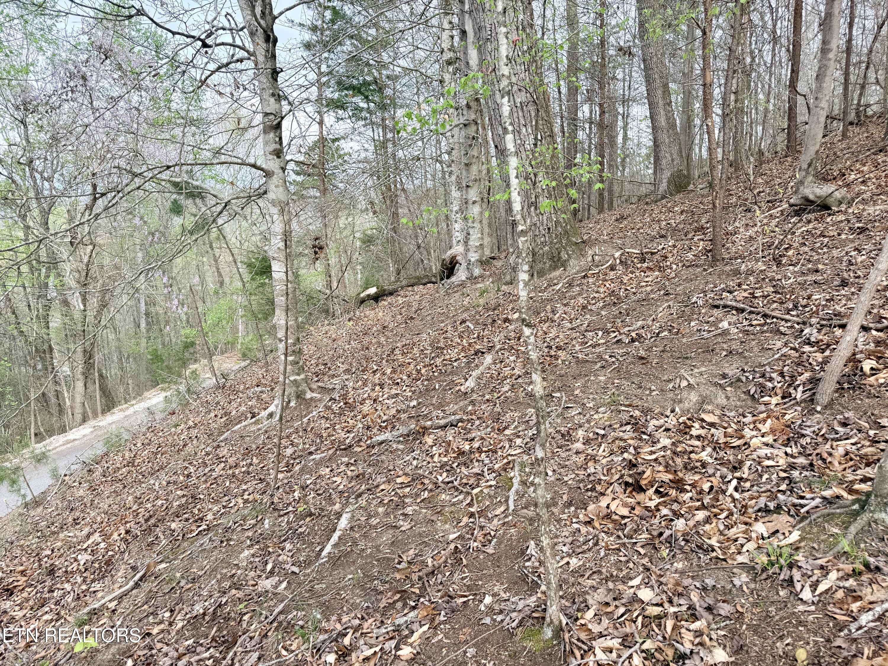 Lot 77 Grandpas Ridge Sharps Chapel TN 37866