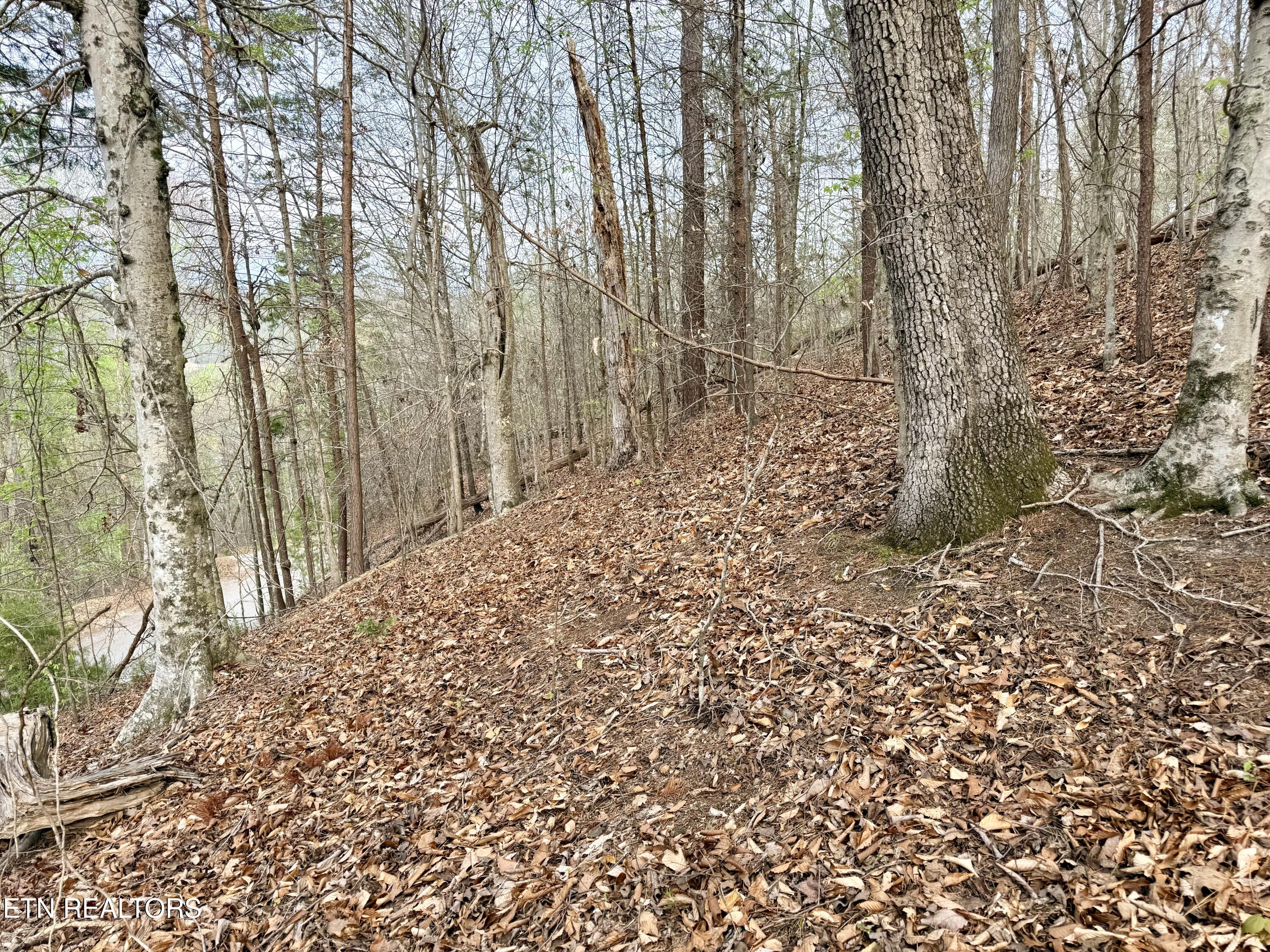 Lot 77 Grandpas Ridge Sharps Chapel TN 37866