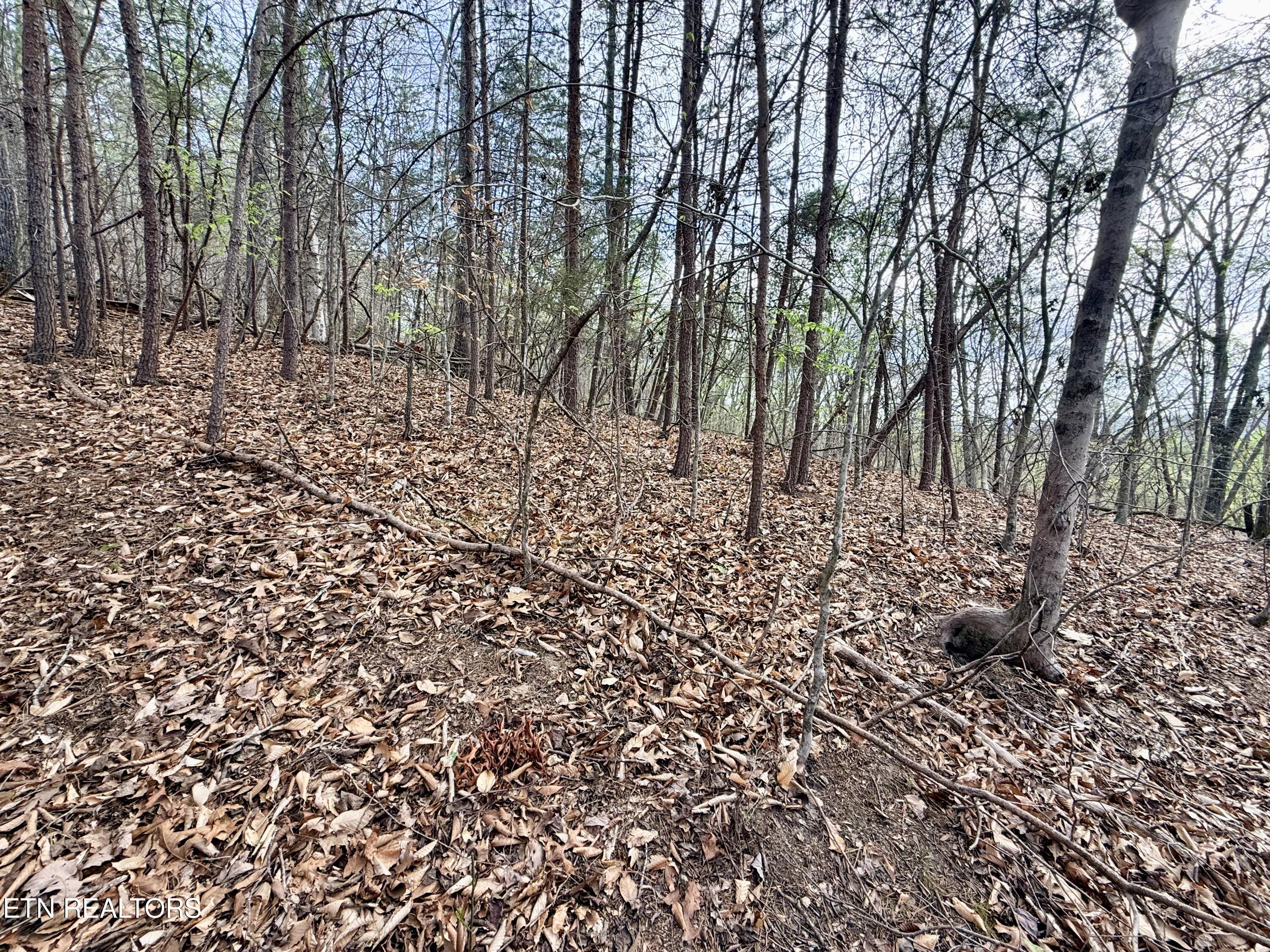 Lot 77 Grandpas Ridge Sharps Chapel TN 37866