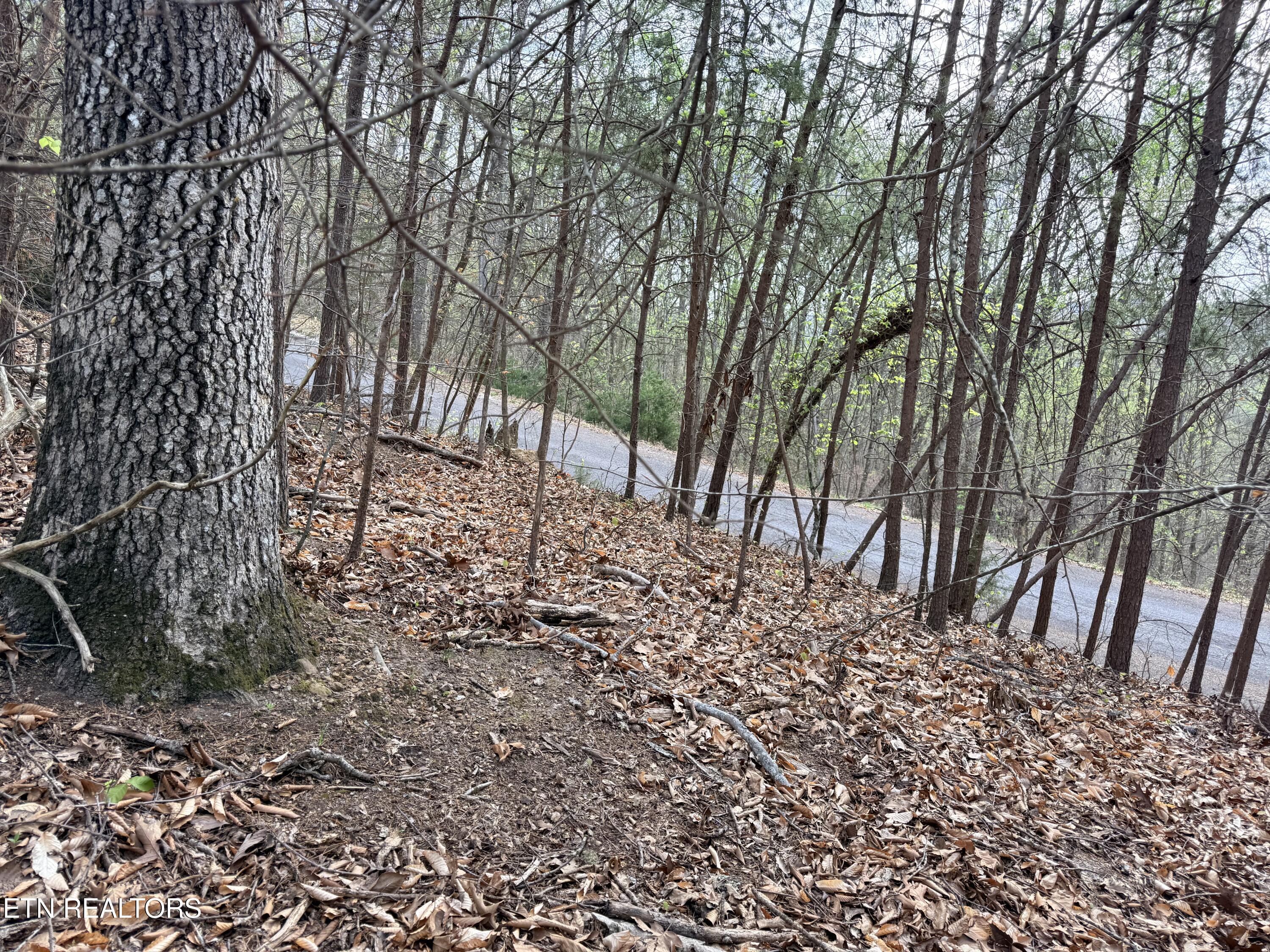 Lot 77 Grandpas Ridge Sharps Chapel TN 37866