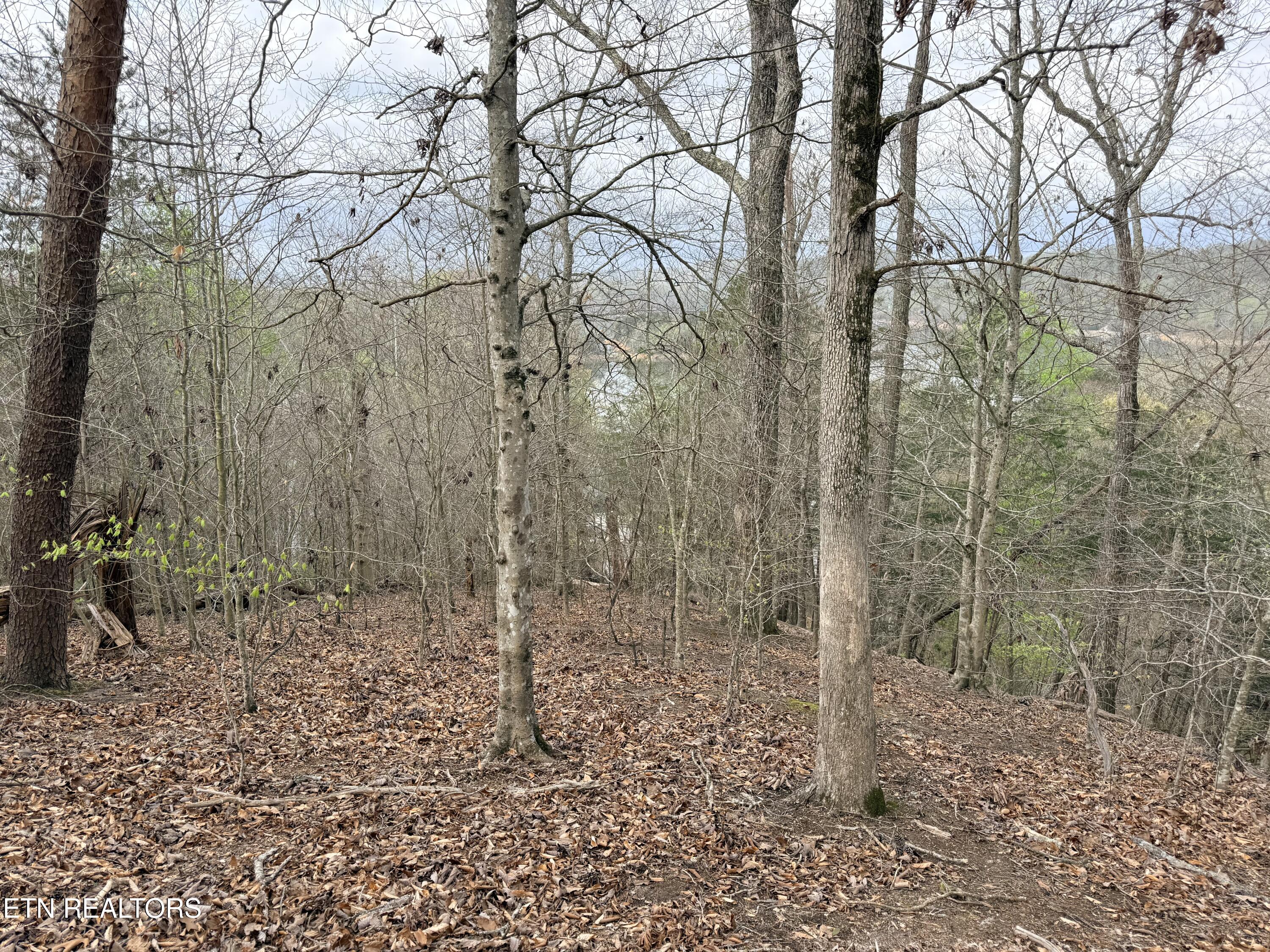 Lot 77 Grandpas Ridge Sharps Chapel TN 37866