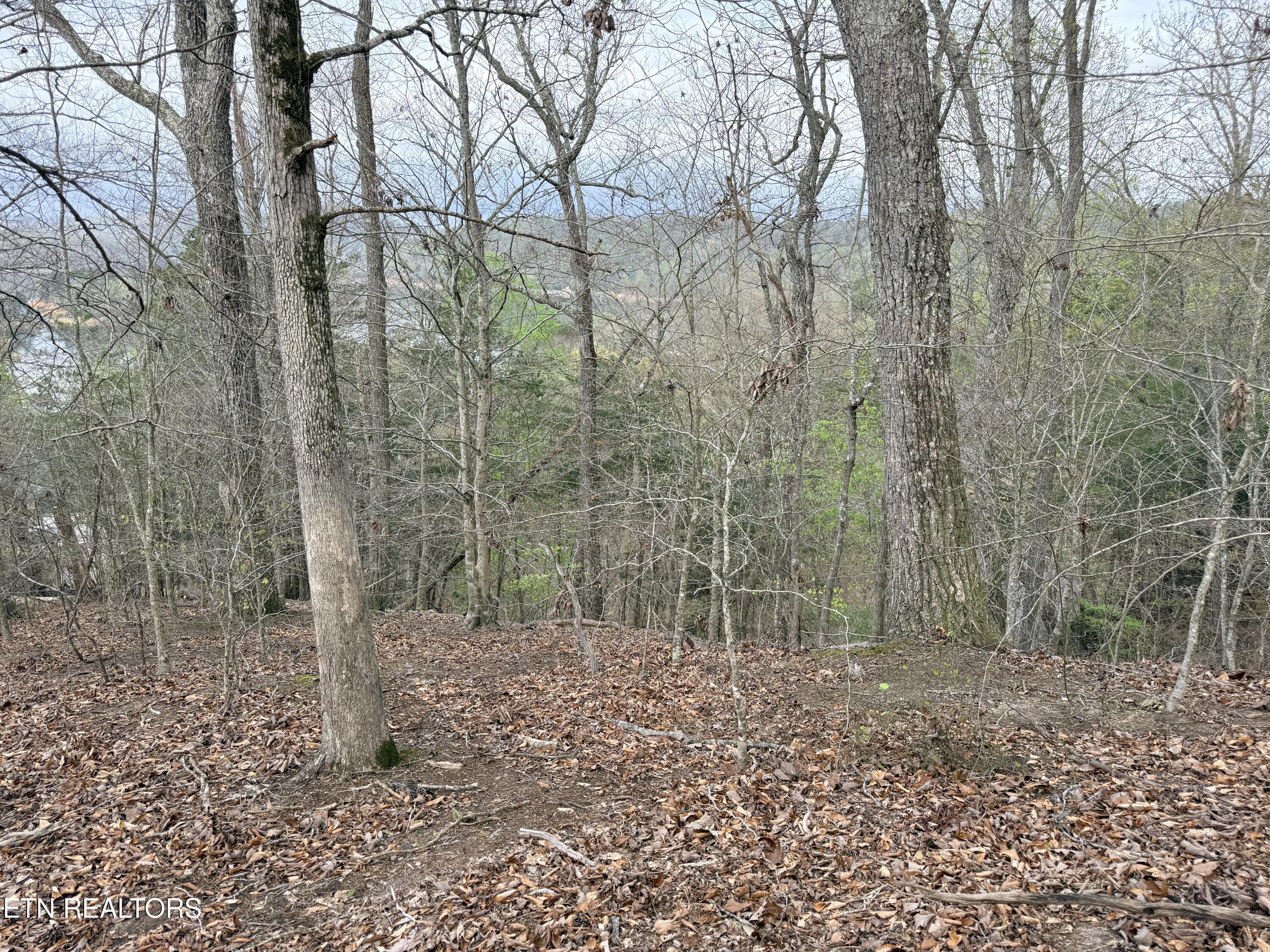 Lot 77 Grandpas Ridge Sharps Chapel TN 37866