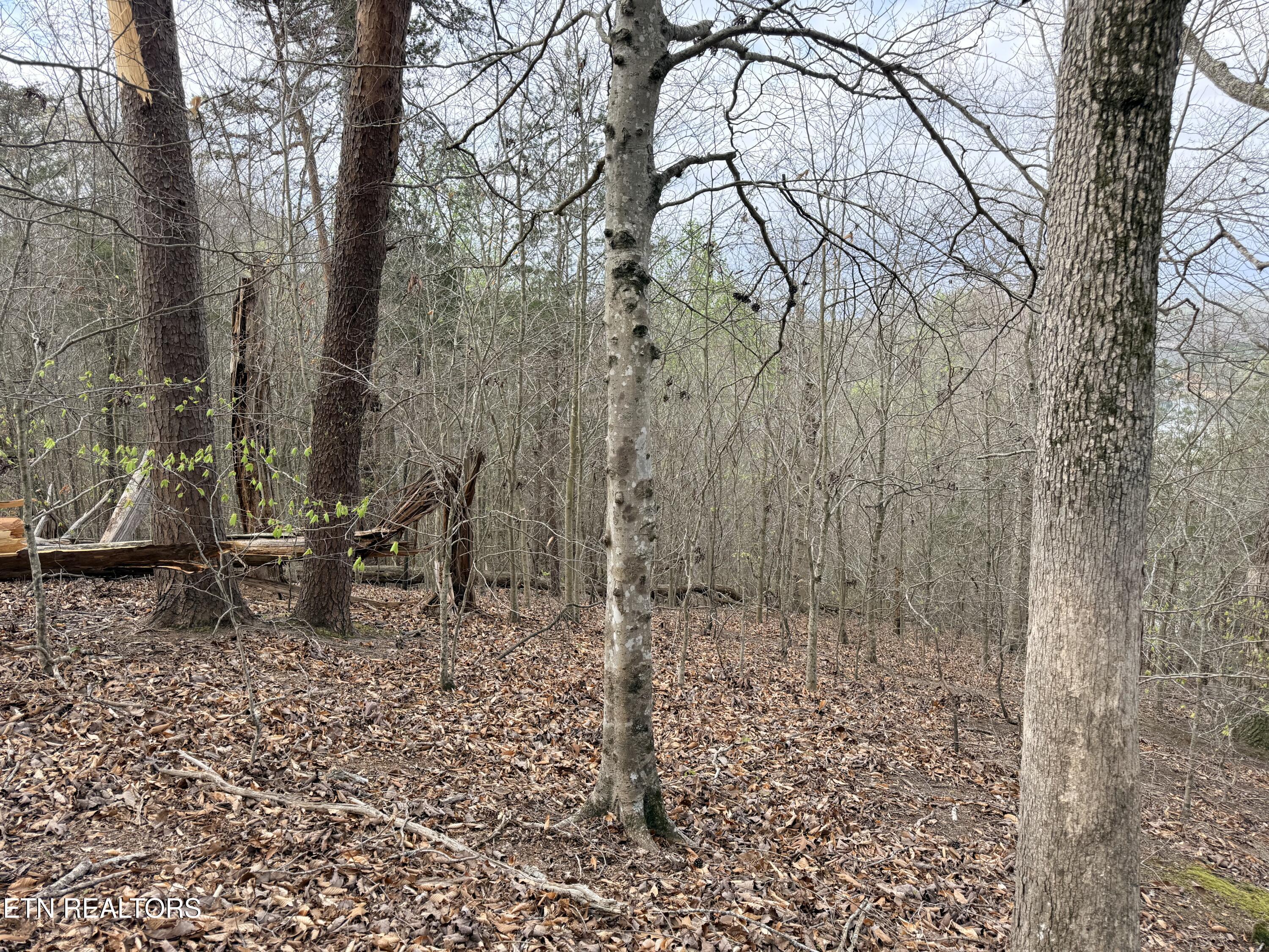 Lot 77 Grandpas Ridge Sharps Chapel TN 37866