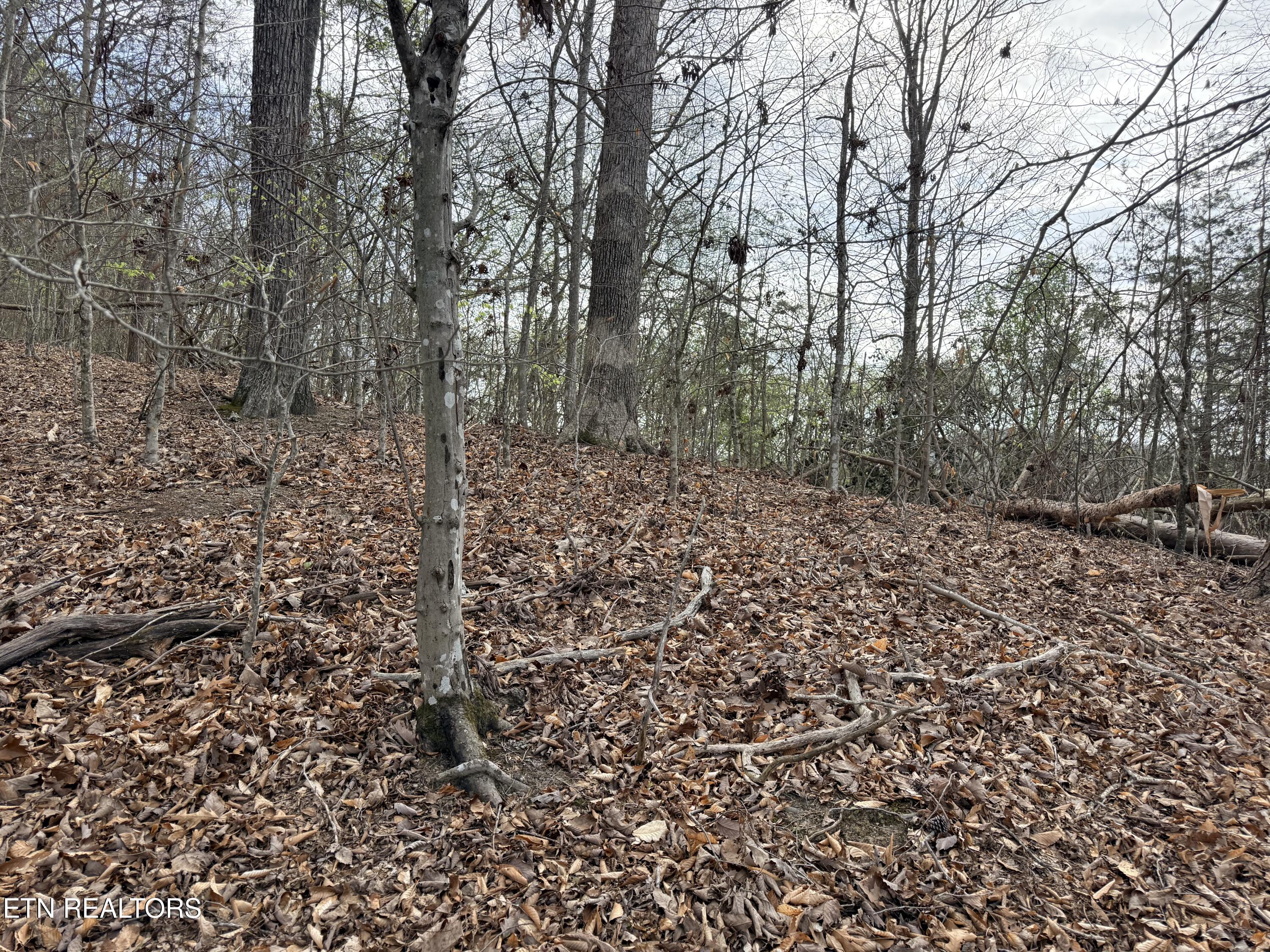 Lot 77 Grandpas Ridge Sharps Chapel TN 37866