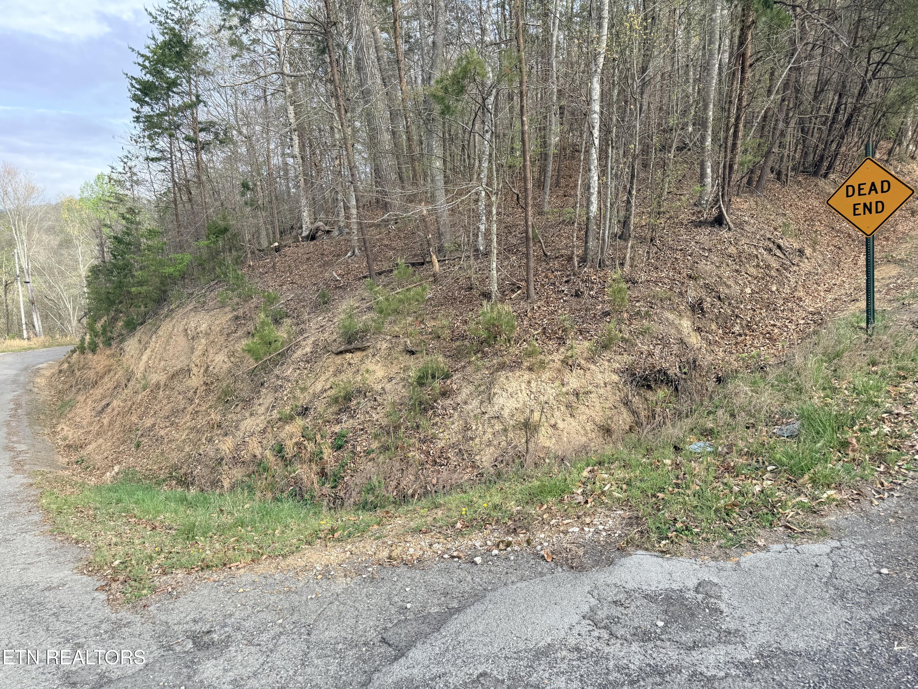 Lot 77 Grandpas Ridge Sharps Chapel TN 37866