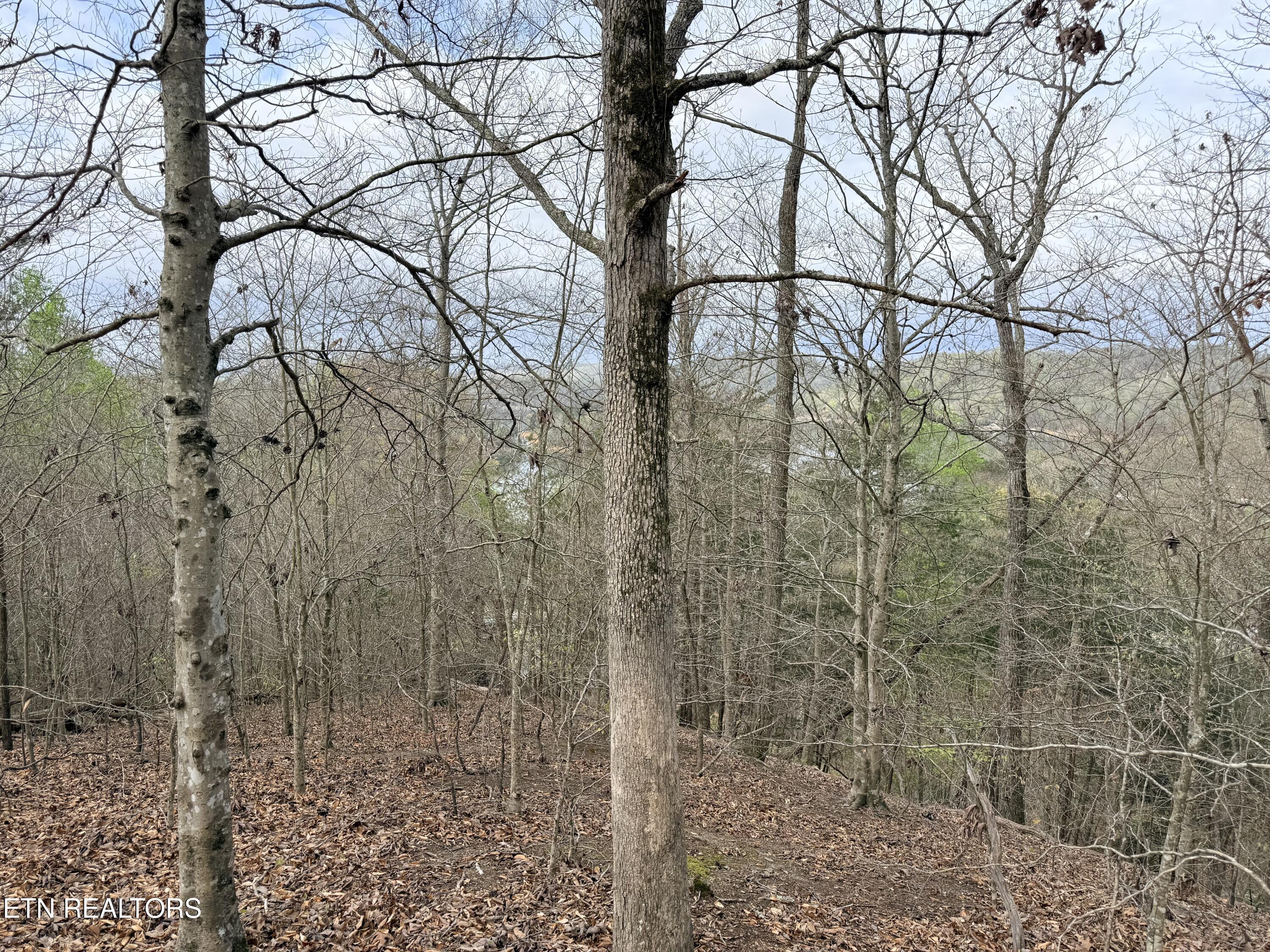 Lot 77 Grandpas Ridge Sharps Chapel TN 37866