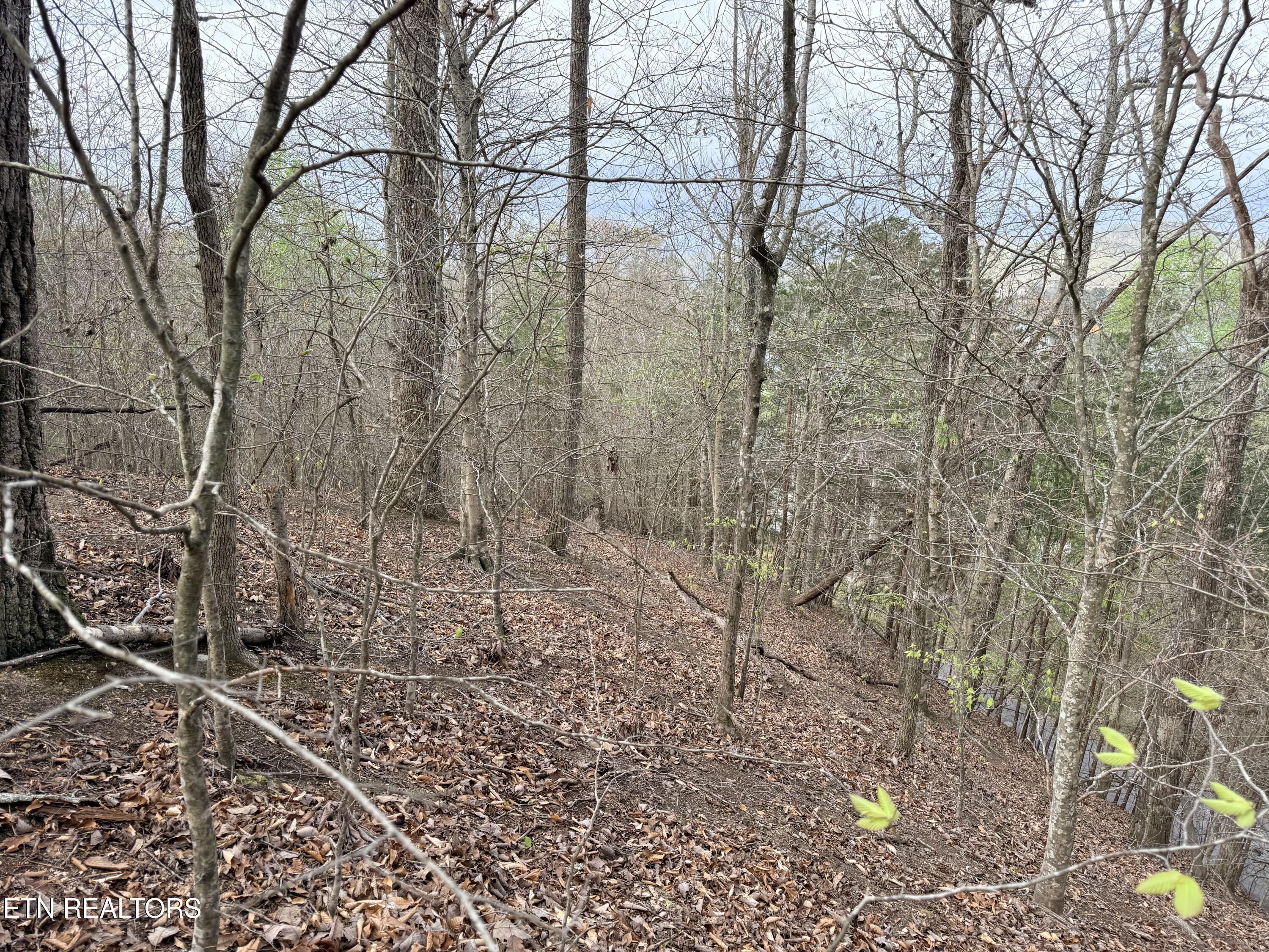 Lot 77 Grandpas Ridge Sharps Chapel TN 37866