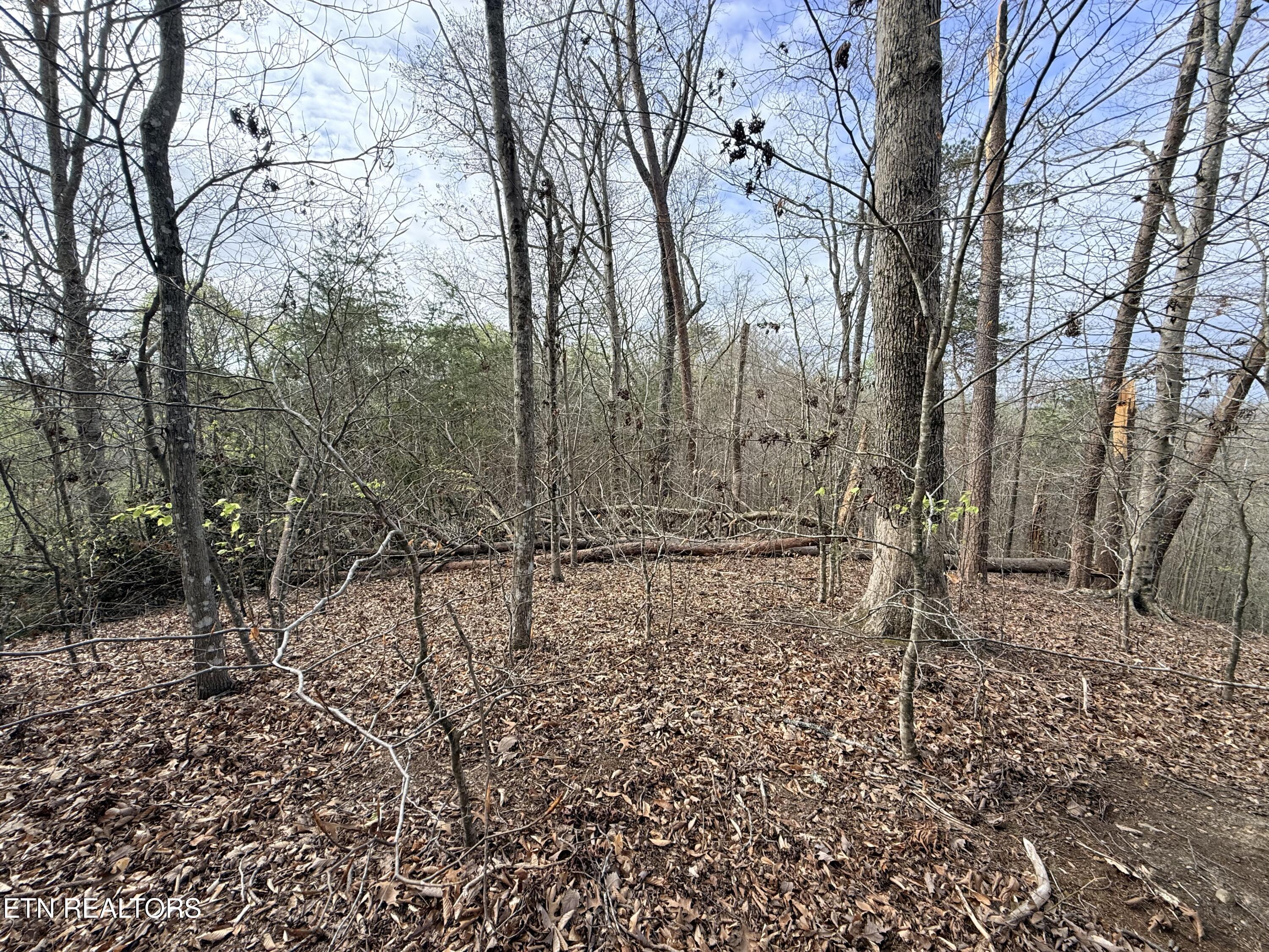 Lot 77 Grandpas Ridge Sharps Chapel TN 37866