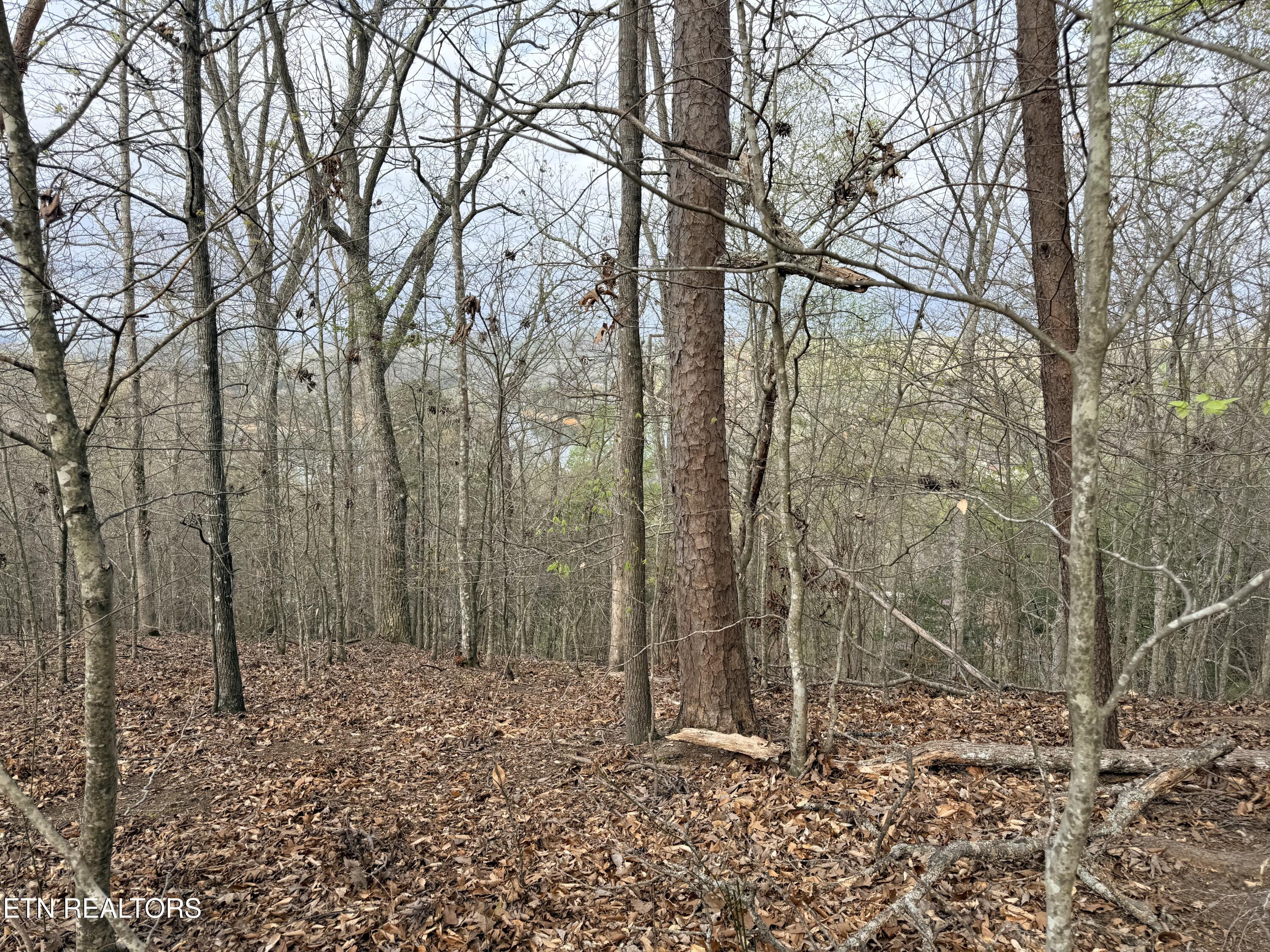 Lot 77 Grandpas Ridge Sharps Chapel TN 37866