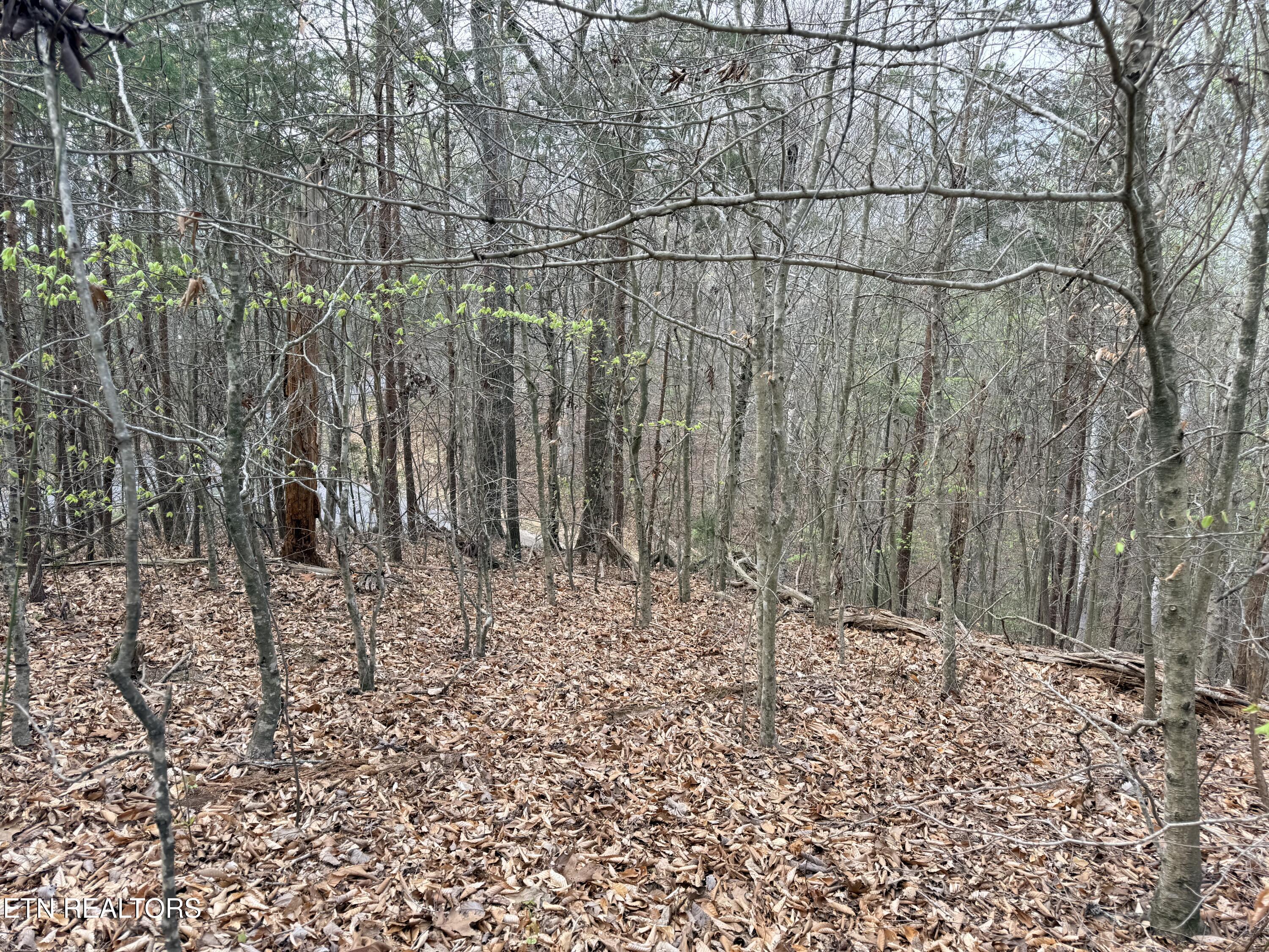 Lot 77 Grandpas Ridge Sharps Chapel TN 37866