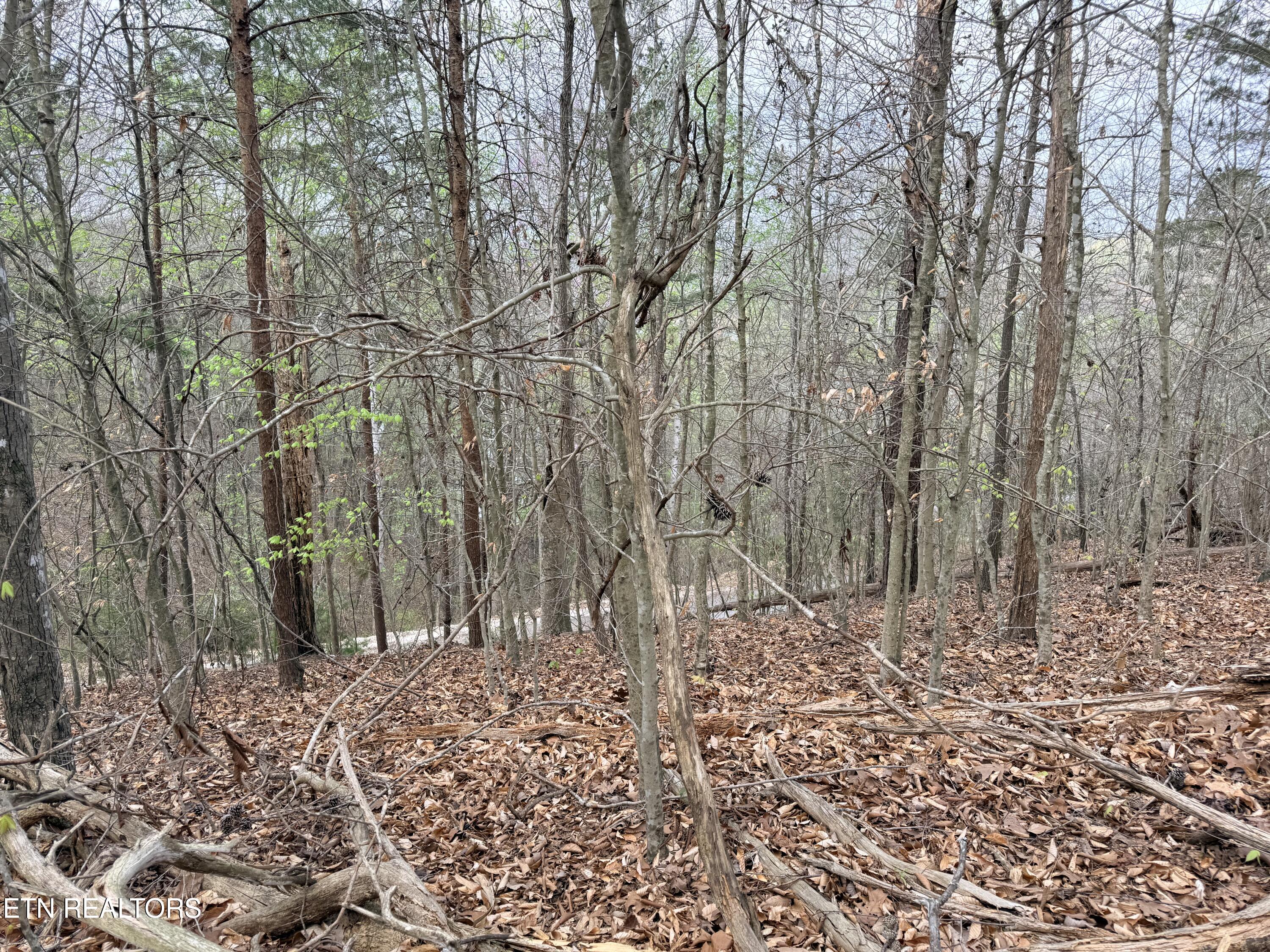 Lot 77 Grandpas Ridge Sharps Chapel TN 37866