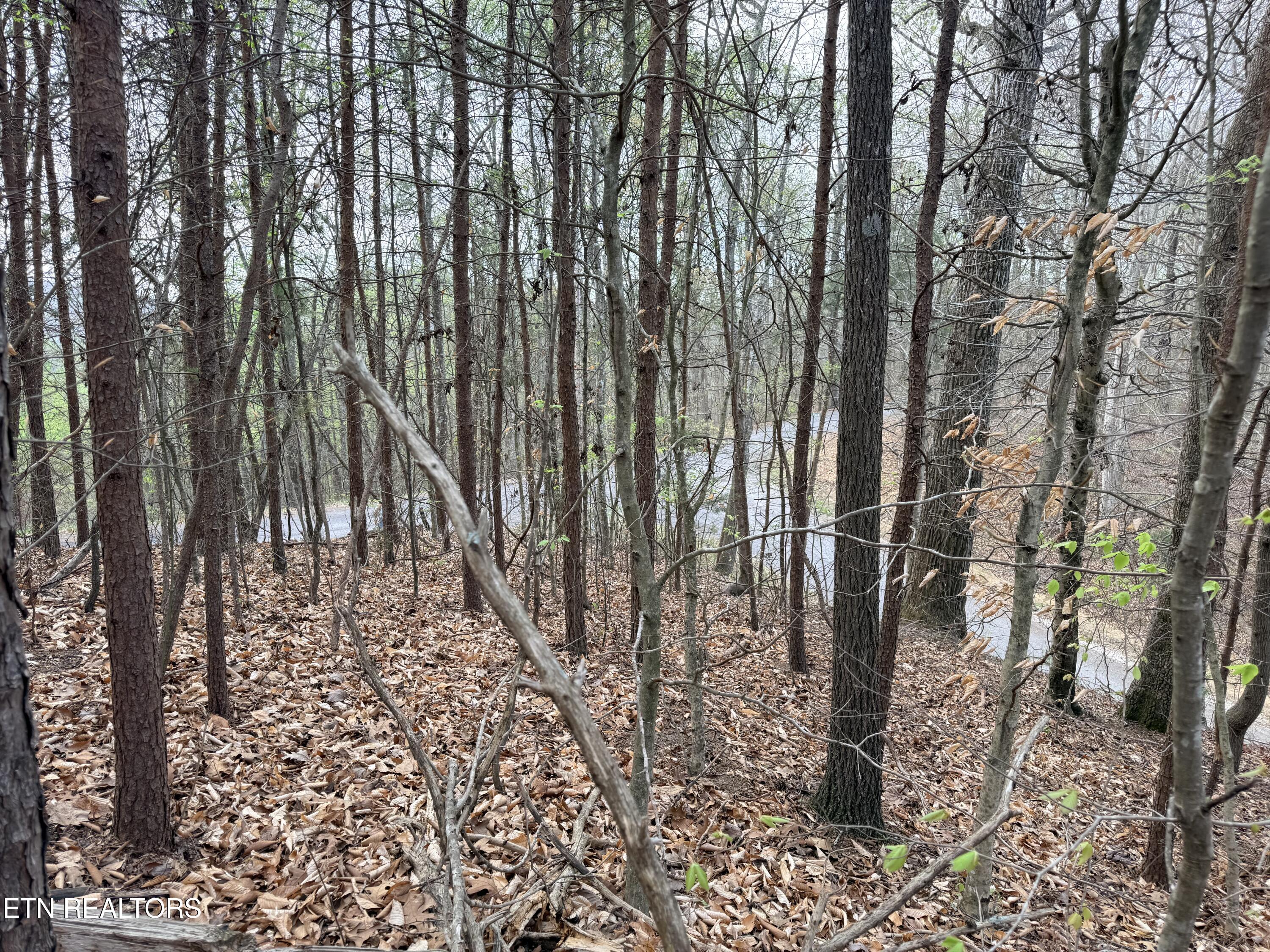 Lot 77 Grandpas Ridge Sharps Chapel TN 37866
