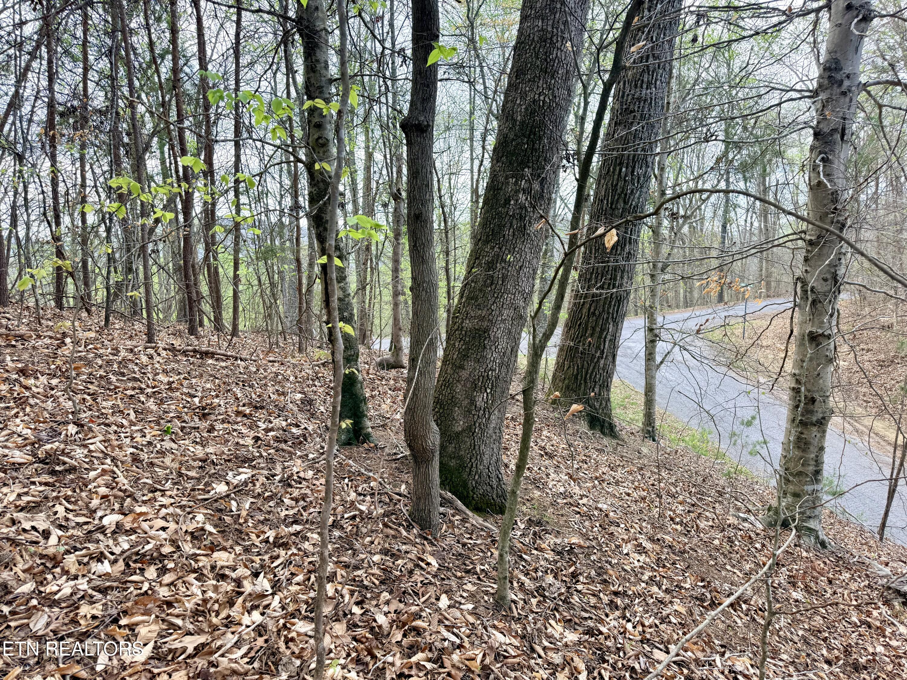 Lot 77 Grandpas Ridge Sharps Chapel TN 37866