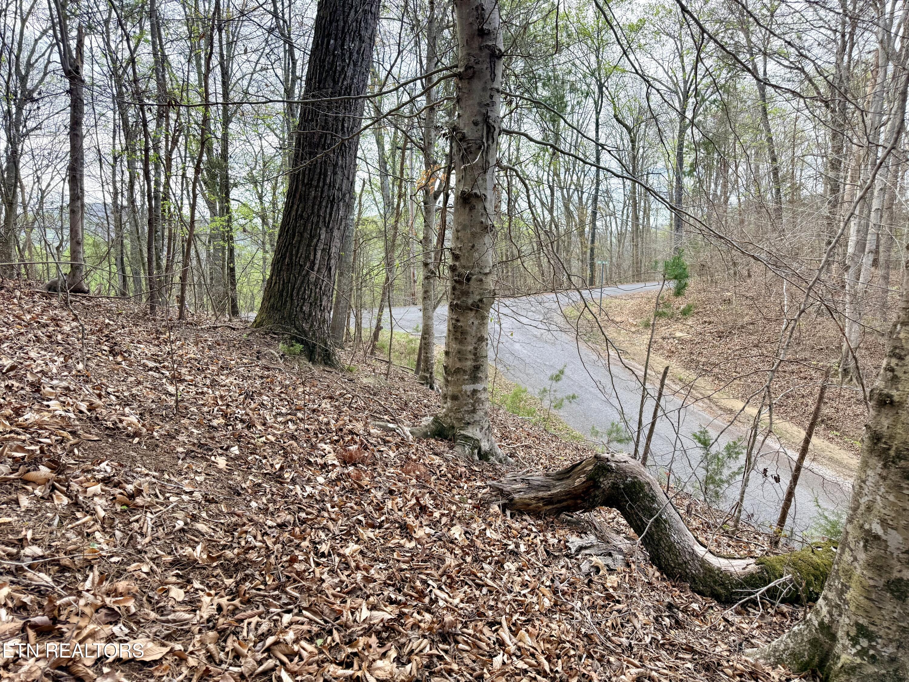 Lot 77 Grandpas Ridge Sharps Chapel TN 37866