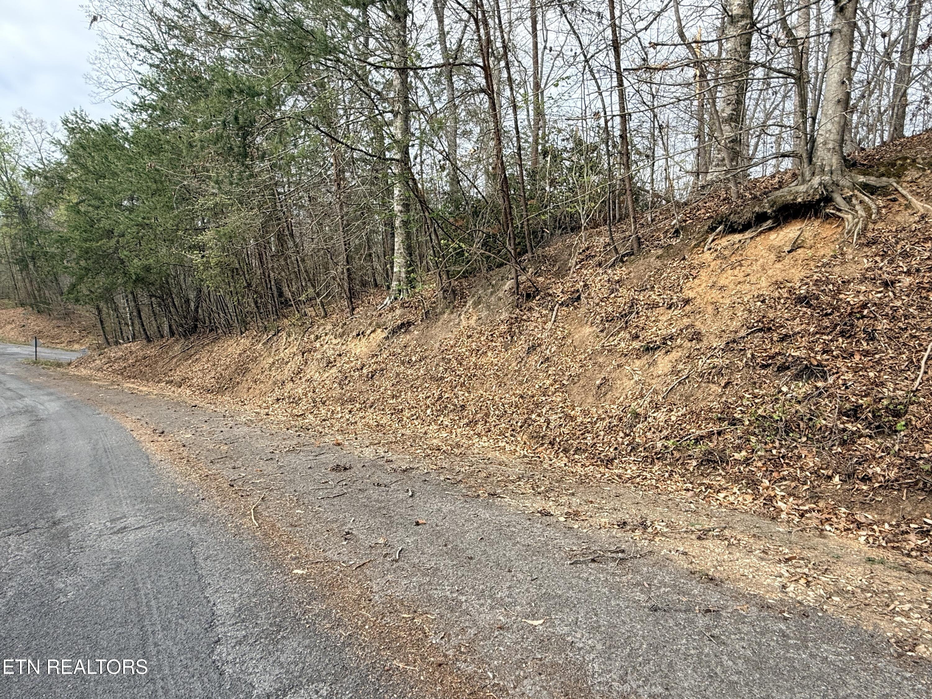 Lot 77 Grandpas Ridge Sharps Chapel TN 37866