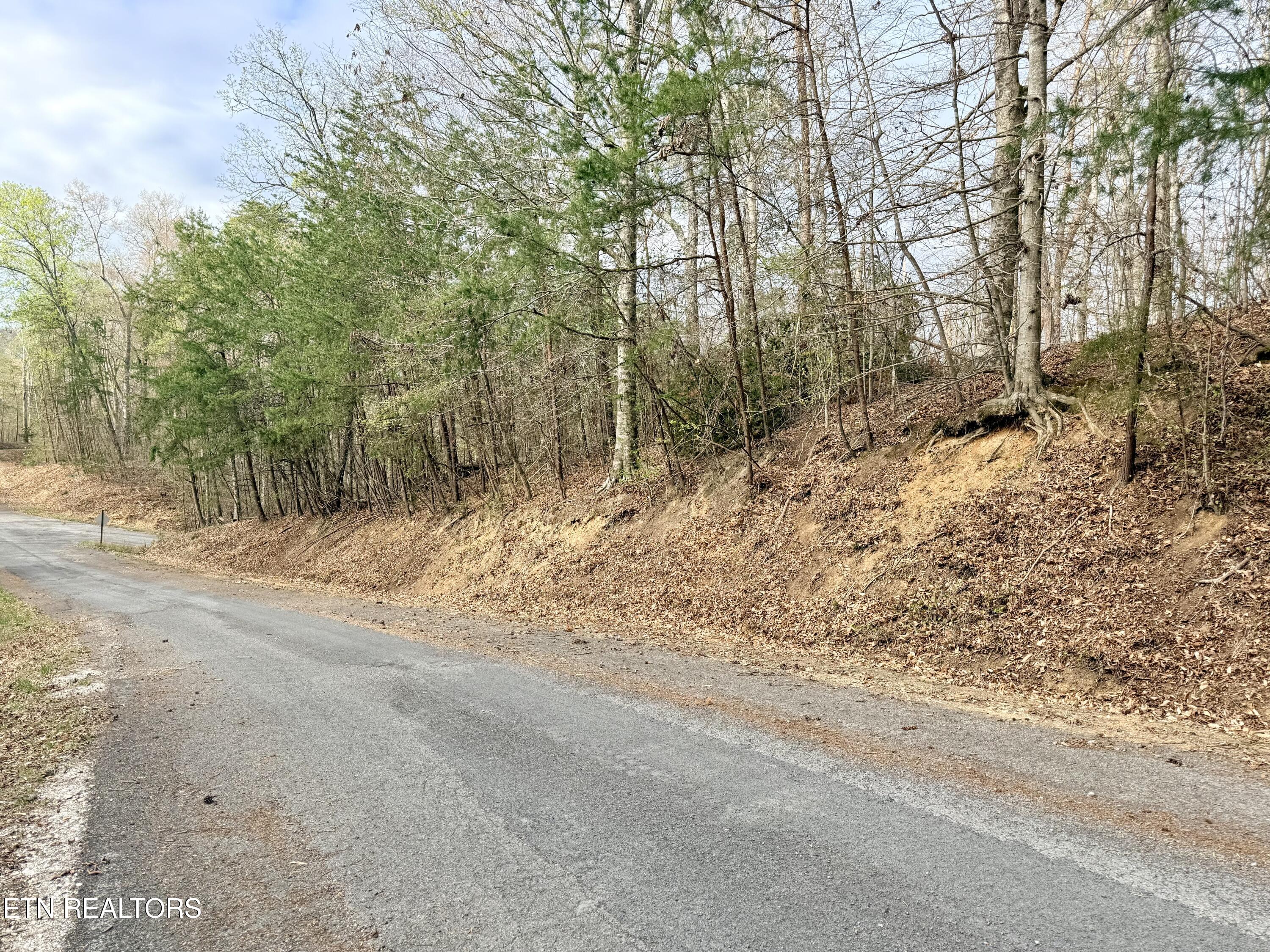 Lot 77 Grandpas Ridge Sharps Chapel TN 37866