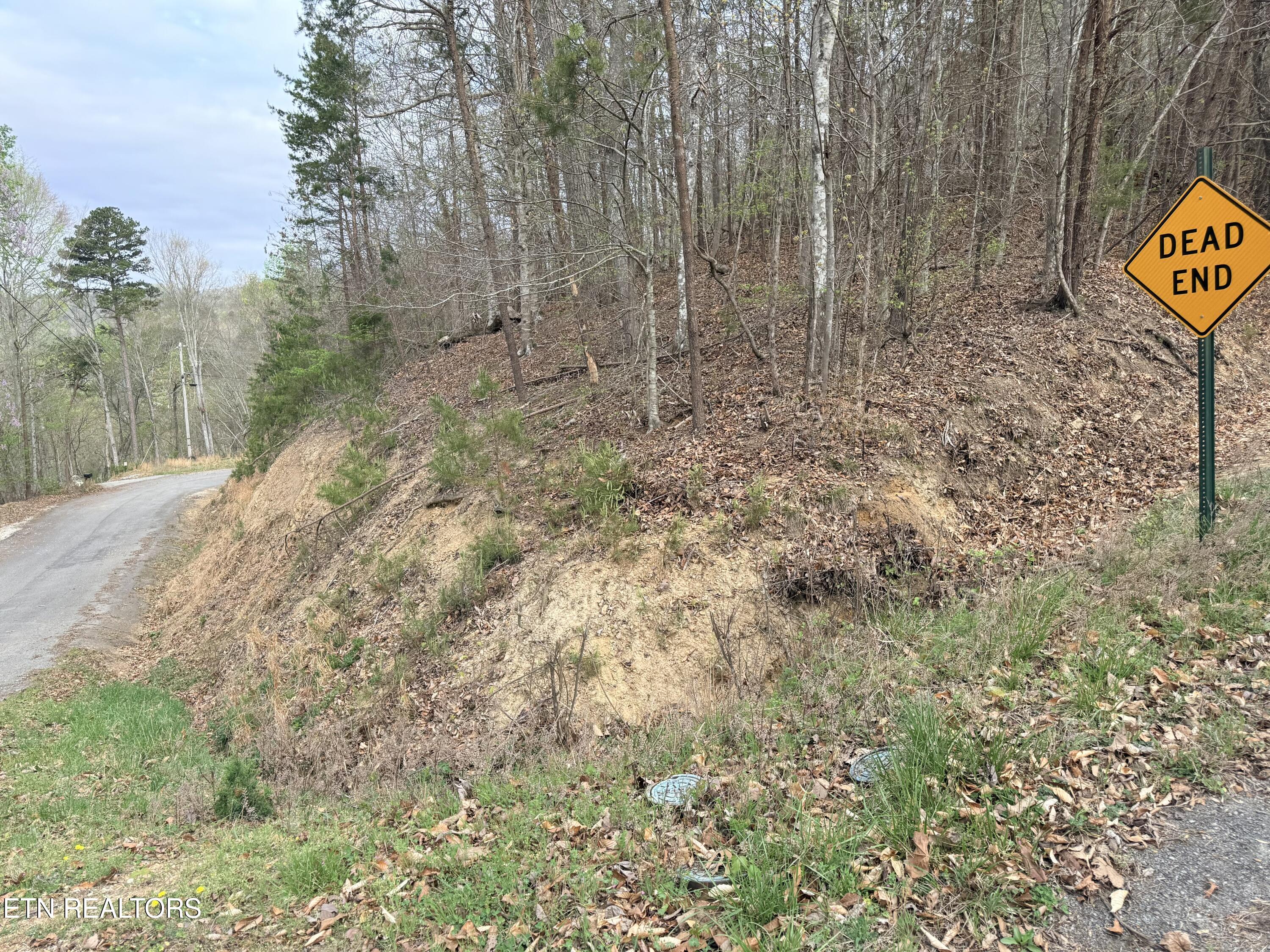 Lot 77 Grandpas Ridge Sharps Chapel TN 37866