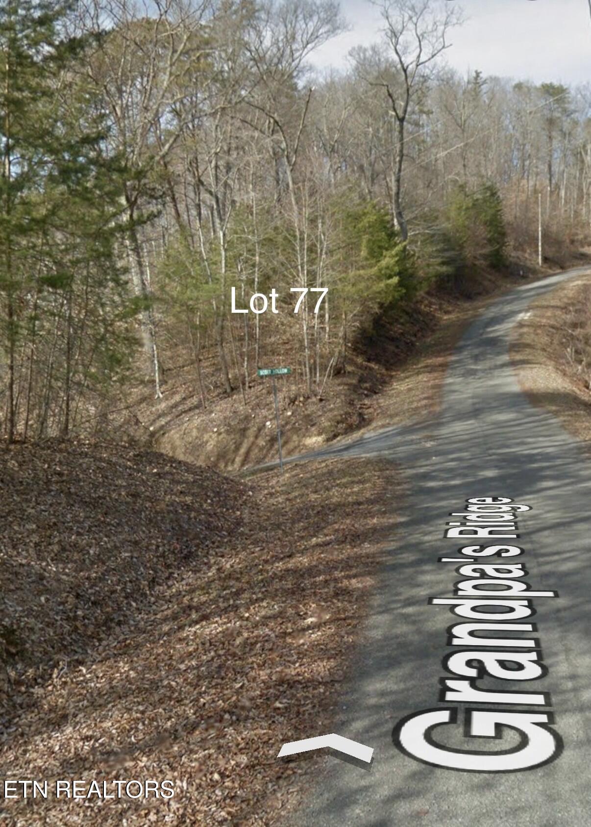 Lot 77 Grandpas Ridge Sharps Chapel TN 37866