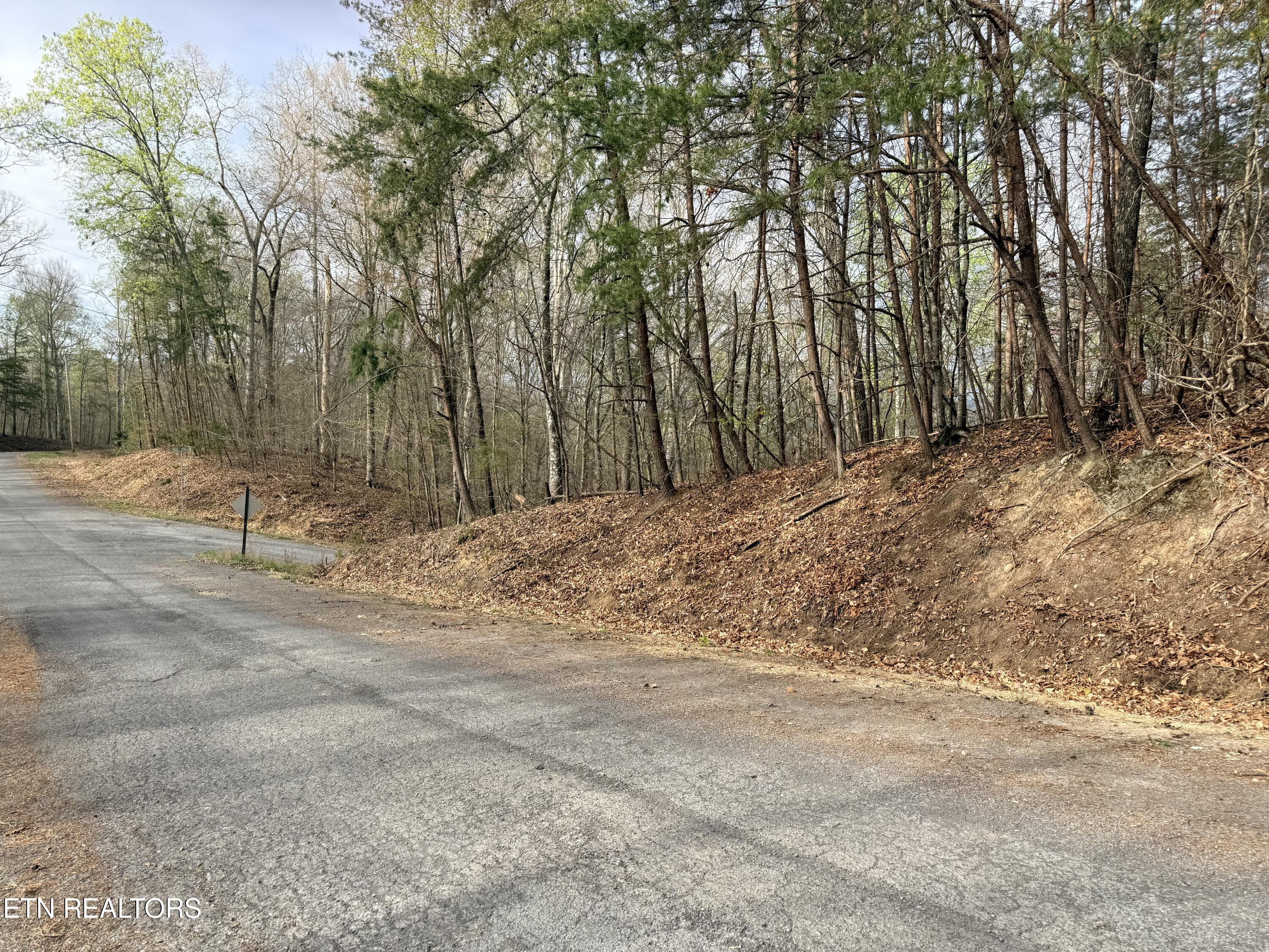 Lot 77 Grandpas Ridge Sharps Chapel TN 37866