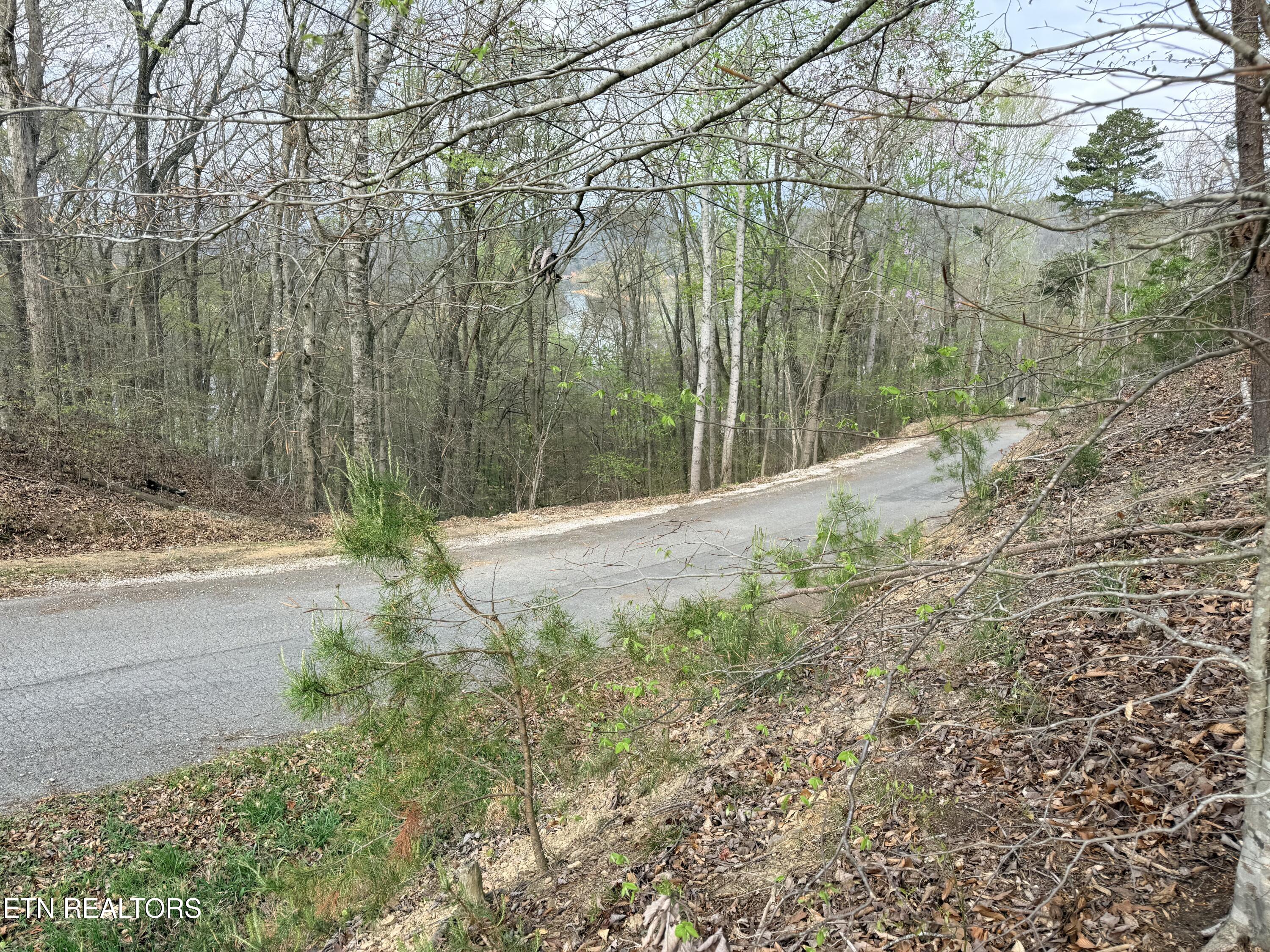 Lot 77 Grandpas Ridge Sharps Chapel TN 37866