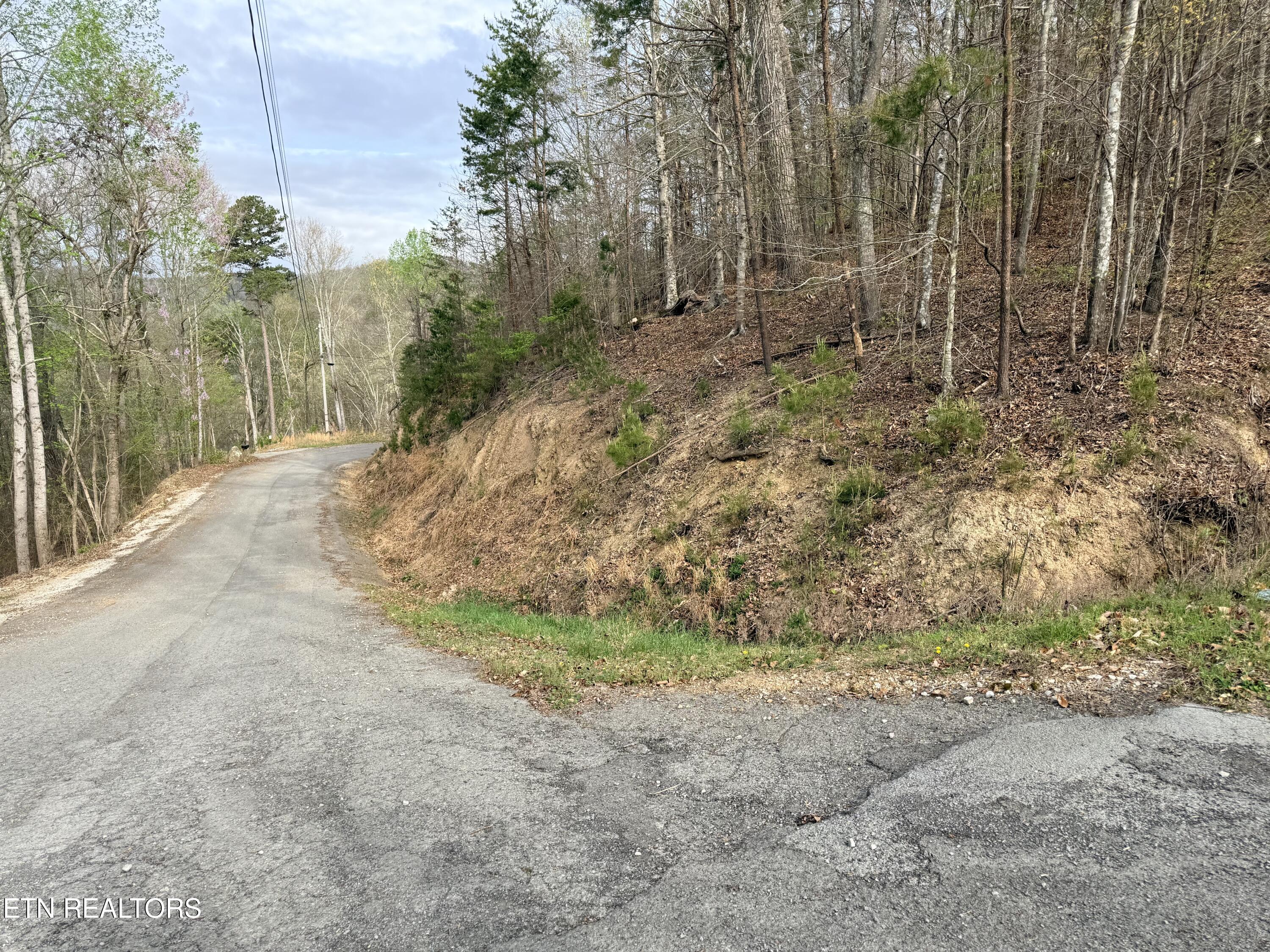 Lot 77 Grandpas Ridge Sharps Chapel TN 37866
