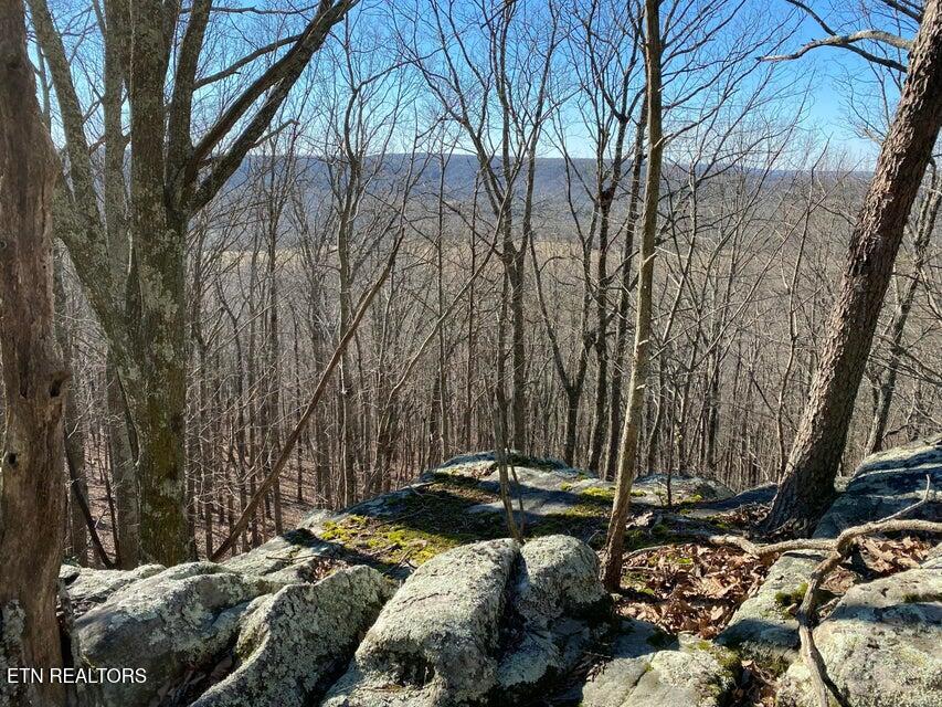 298 Fieldstone Lane Pikeville TN 37367