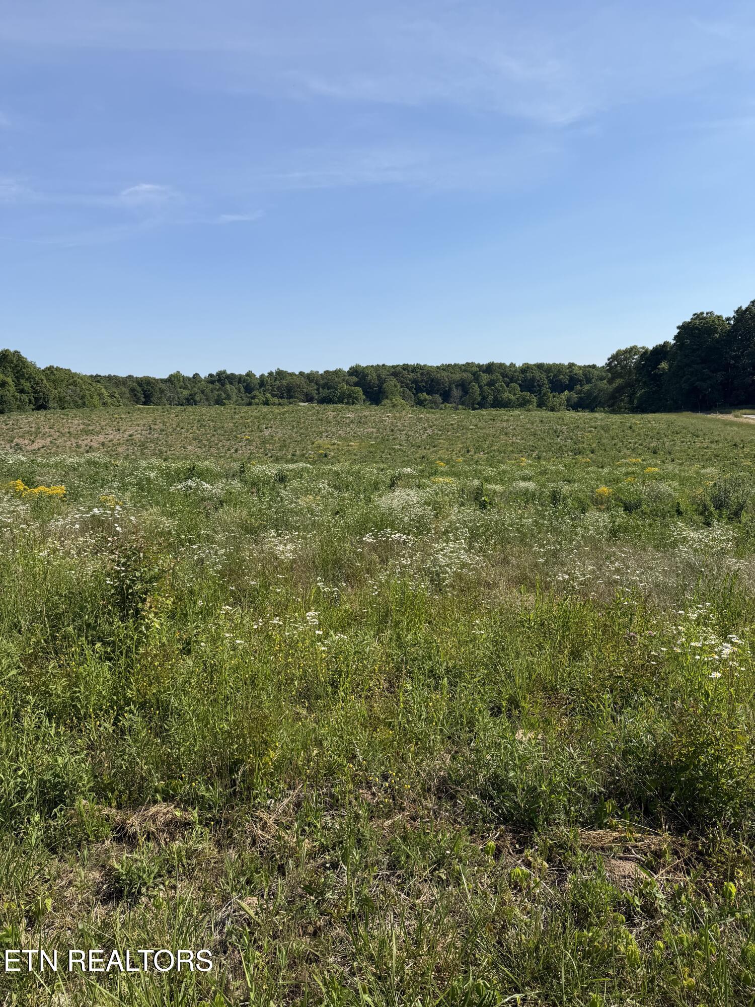 12D Petty Road Sparta TN 38583
