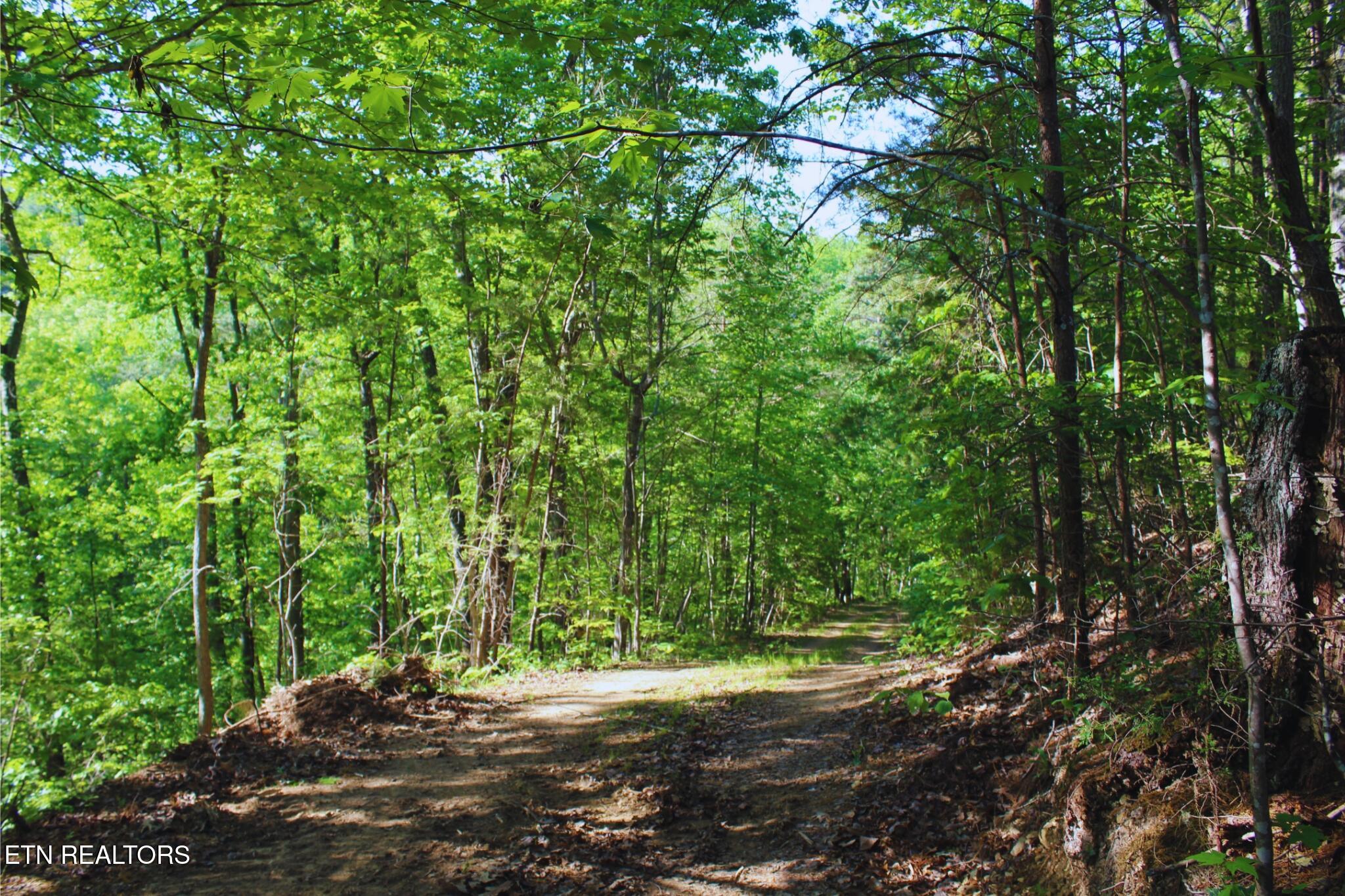 425 Smokey Road Rutledge TN 37861