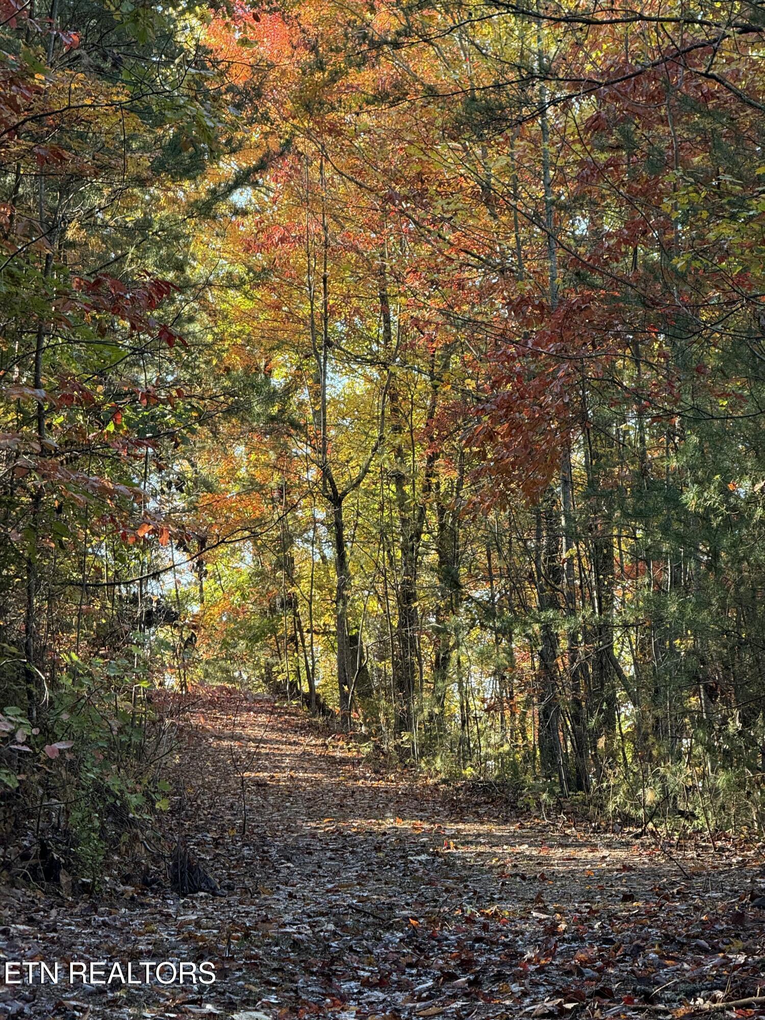 425 Smokey Road Rutledge TN 37861