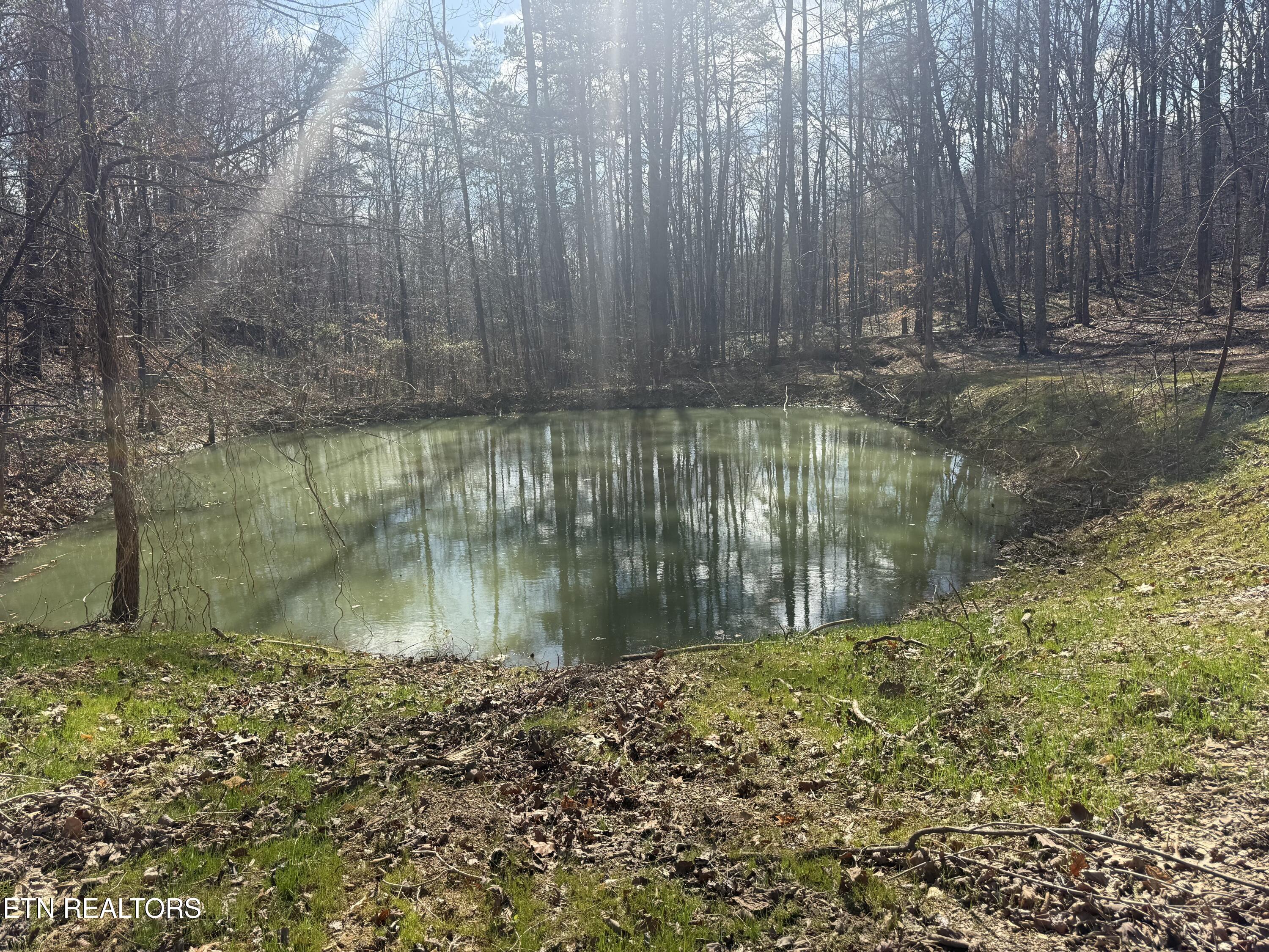 425 Smokey Road Rutledge TN 37861