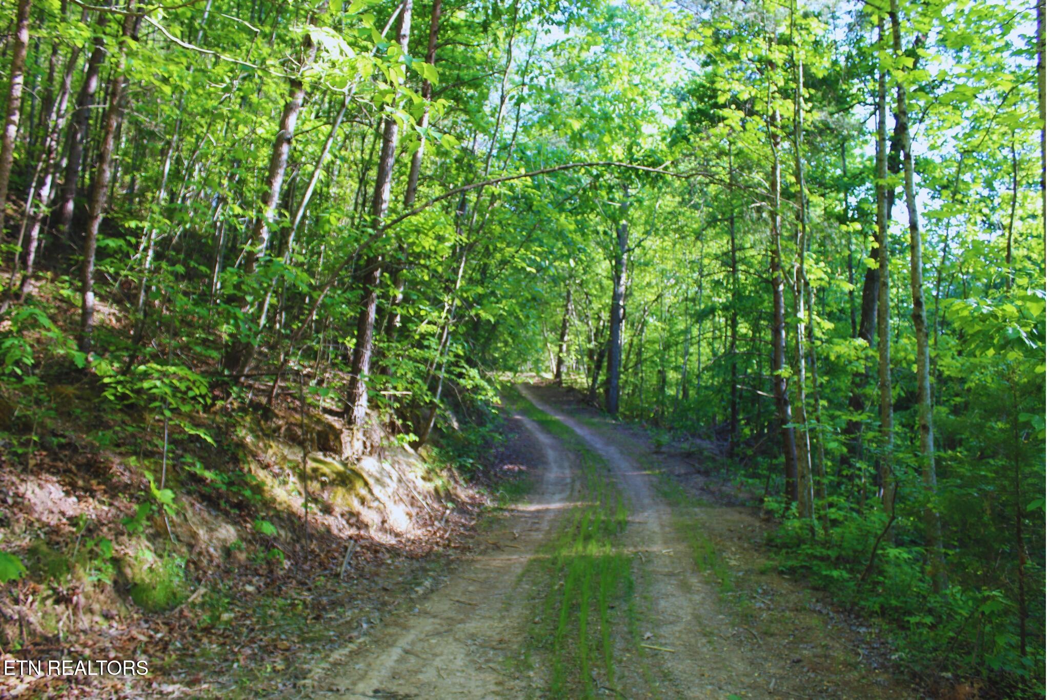 425 Smokey Road Rutledge TN 37861
