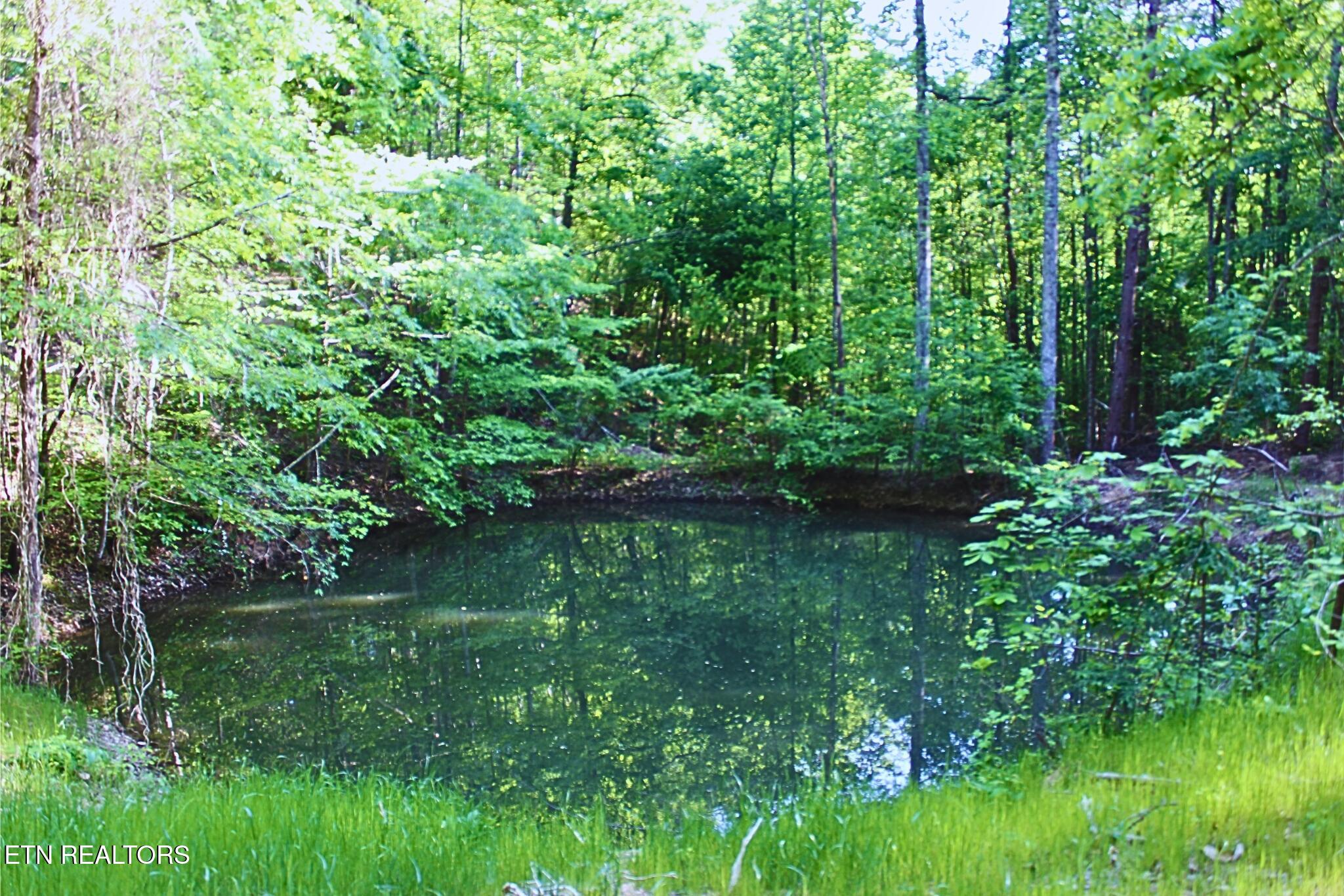 425 Smokey Road Rutledge TN 37861