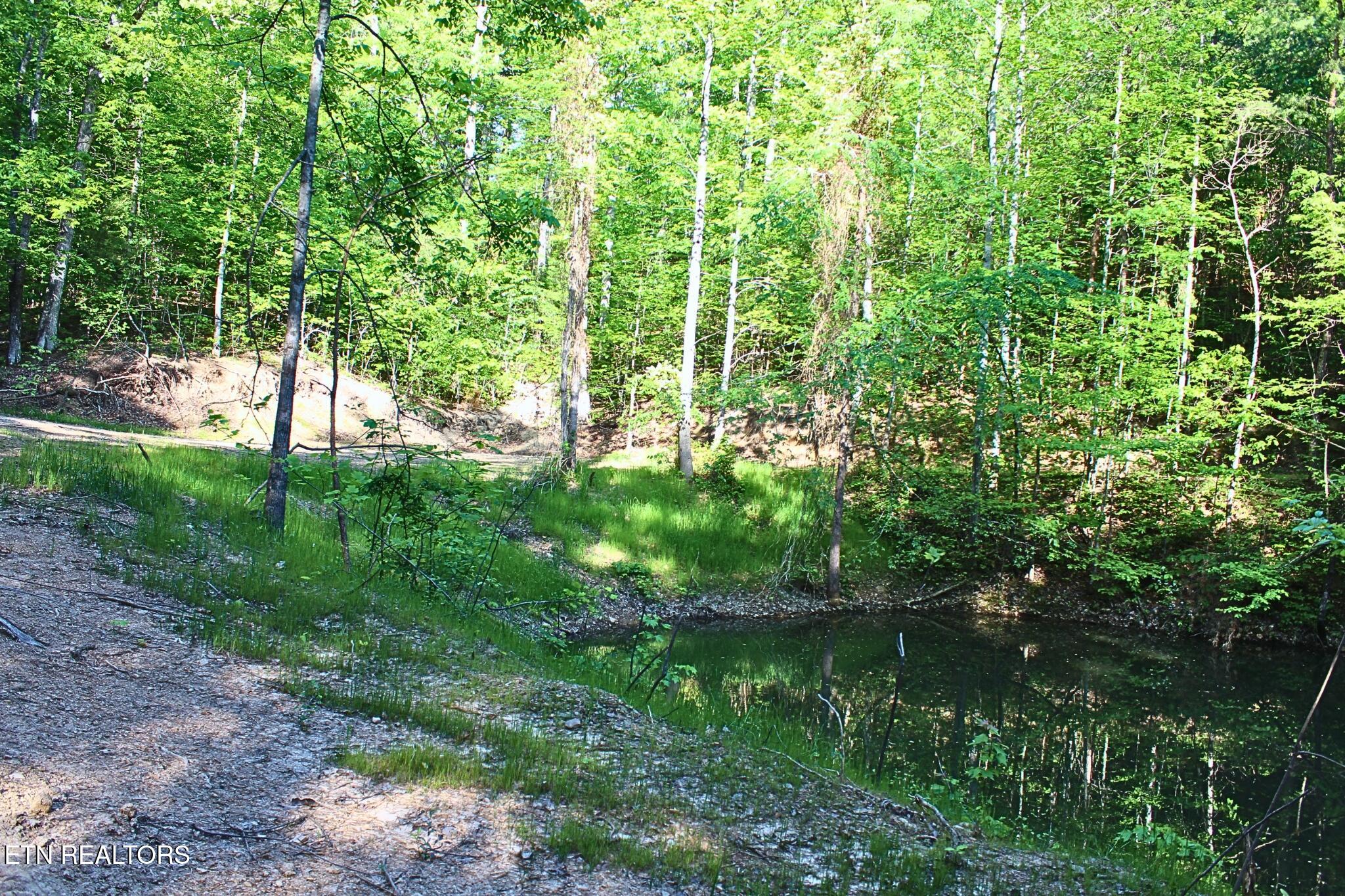 425 Smokey Road Rutledge TN 37861