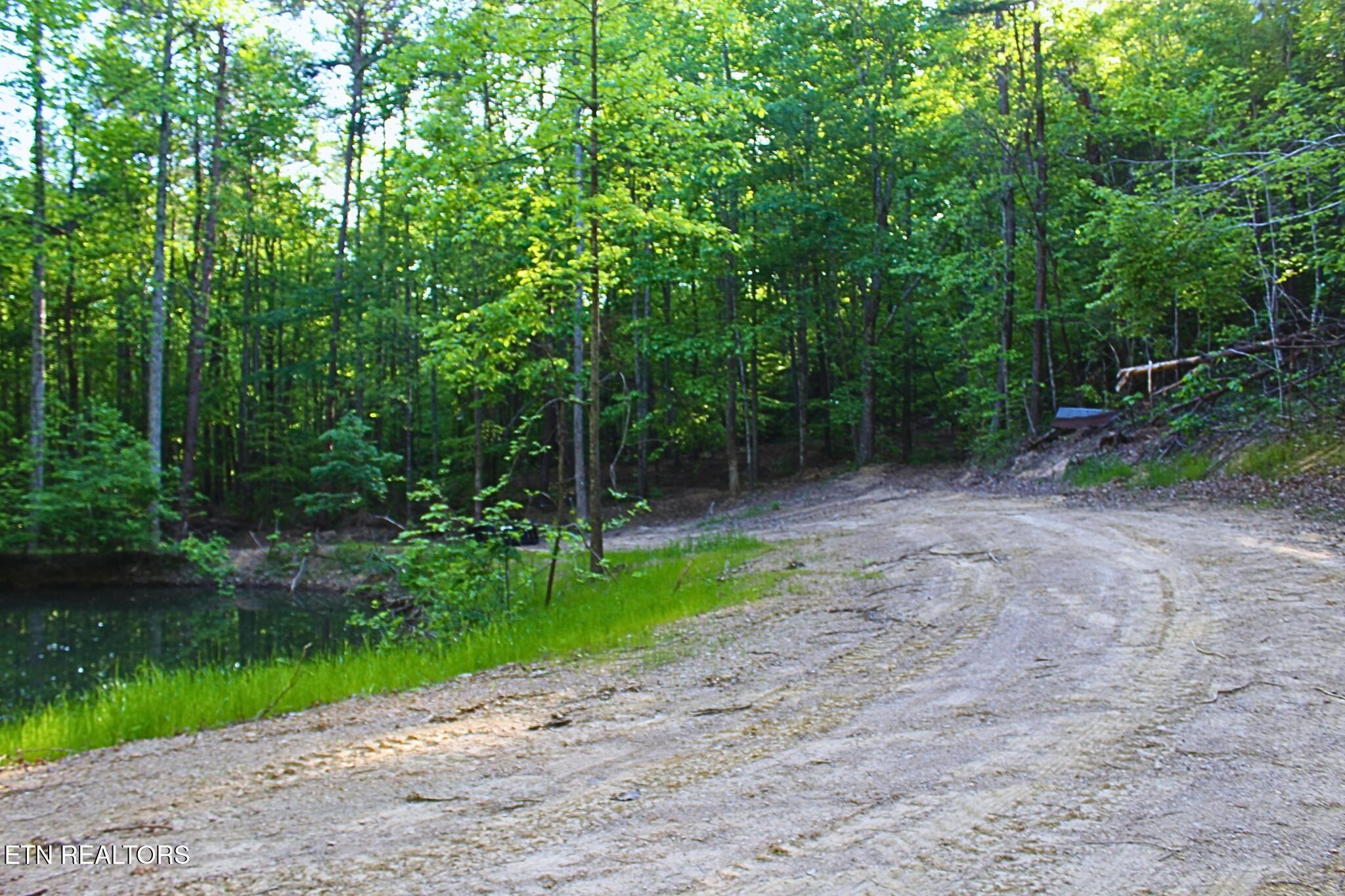 425 Smokey Road Rutledge TN 37861