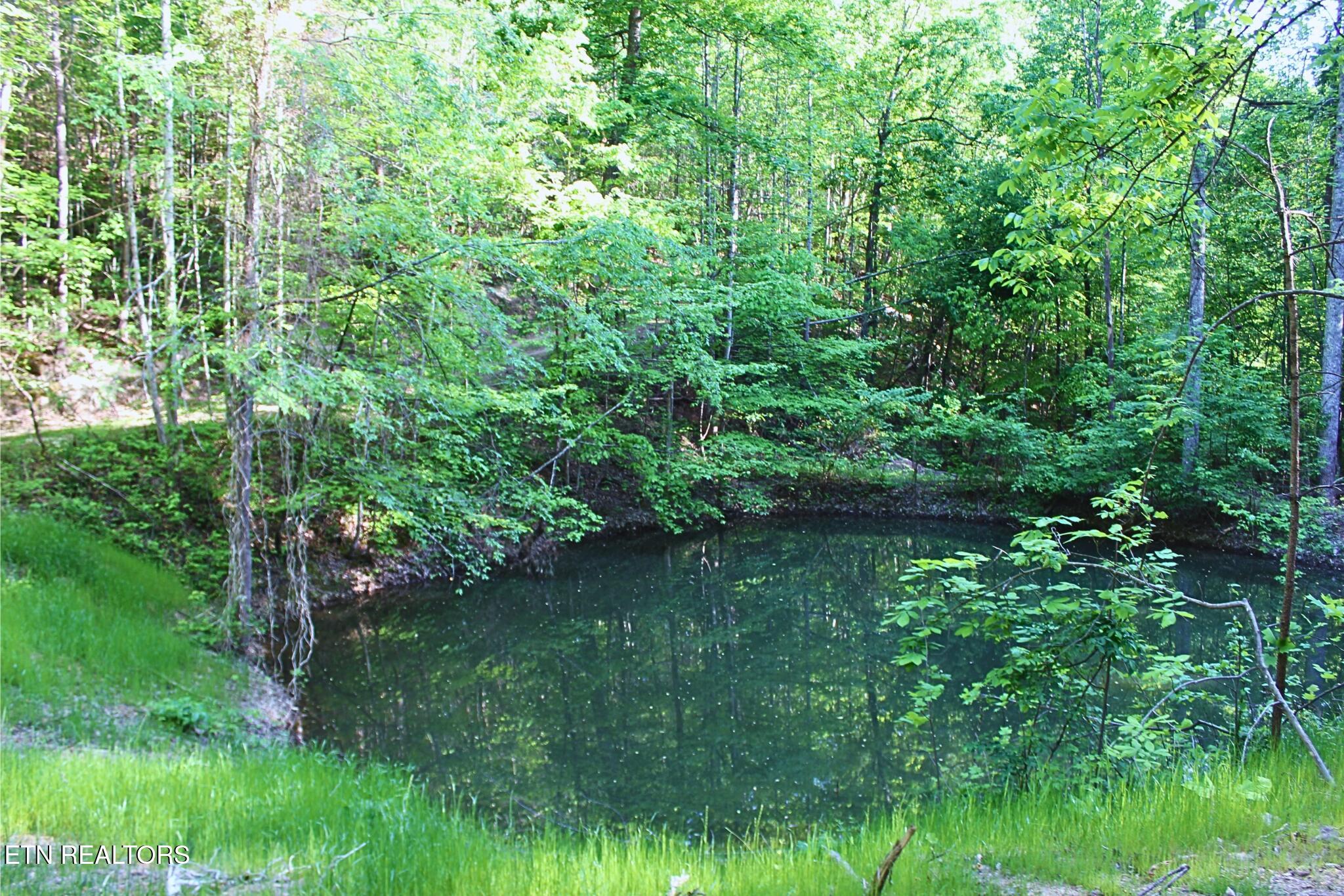 425 Smokey Road Rutledge TN 37861