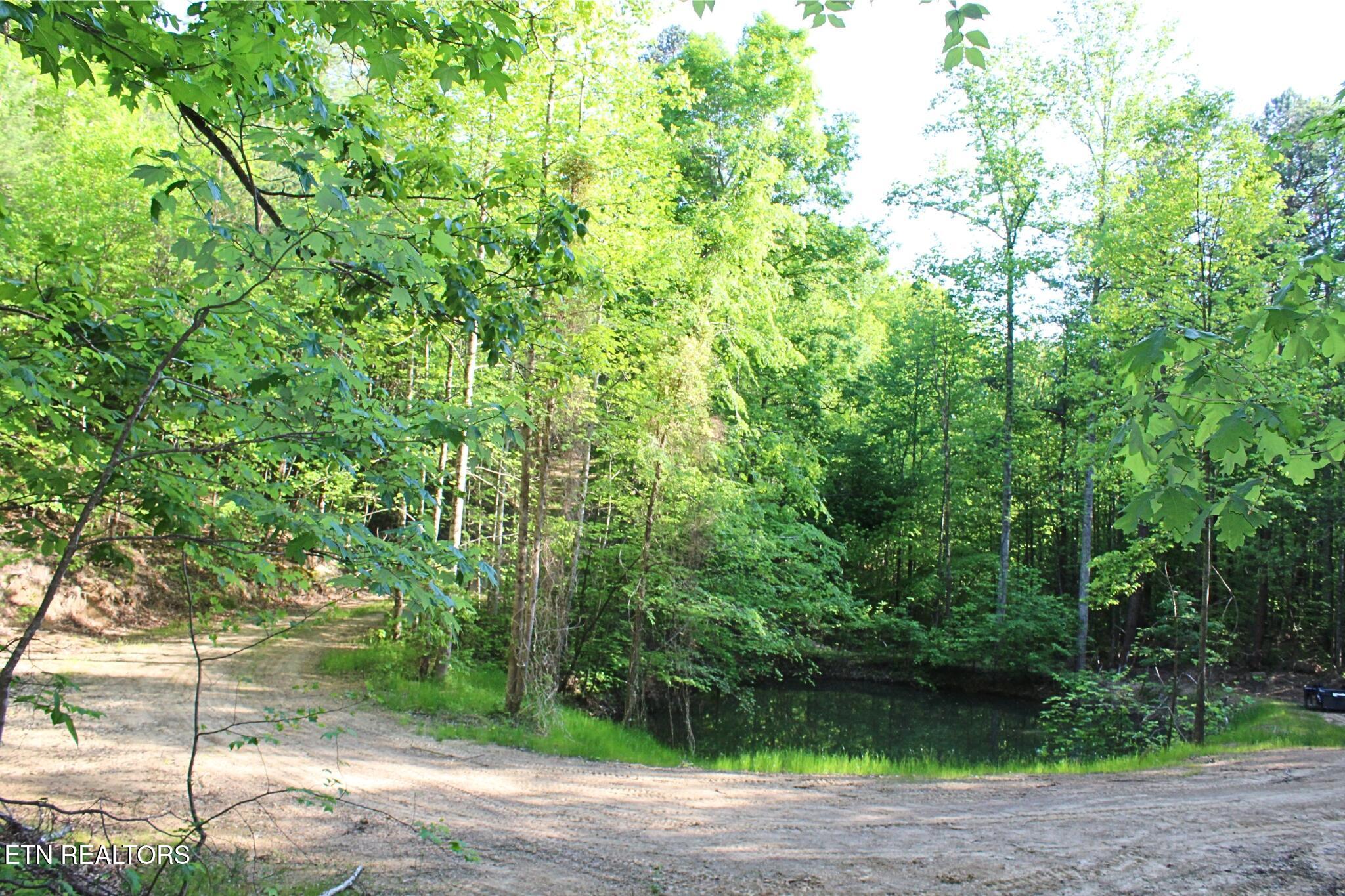 425 Smokey Road Rutledge TN 37861